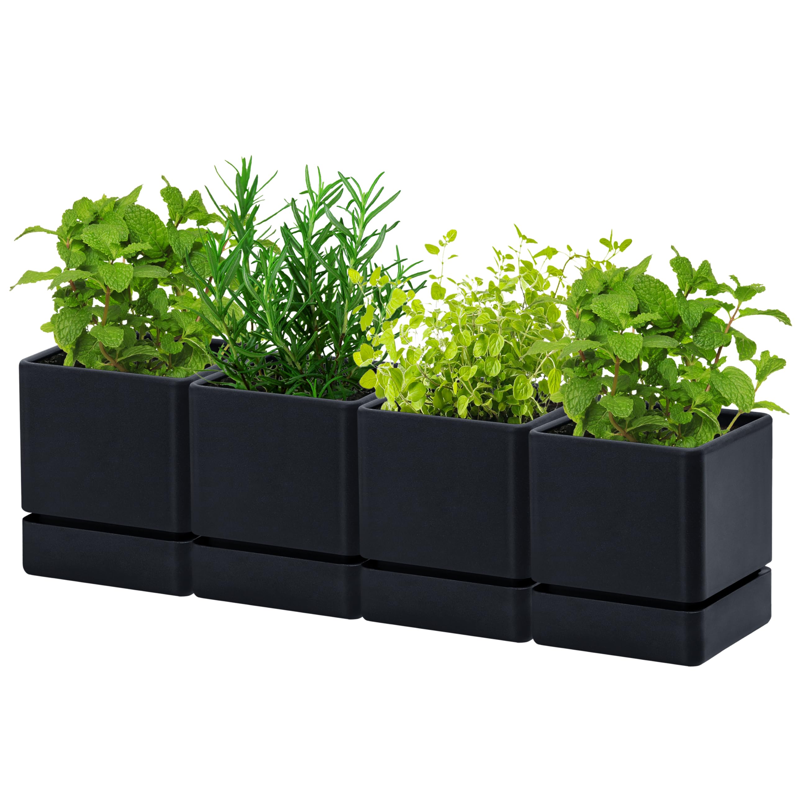 D'vine Dev 4 Inch Herb Planter Pot Set