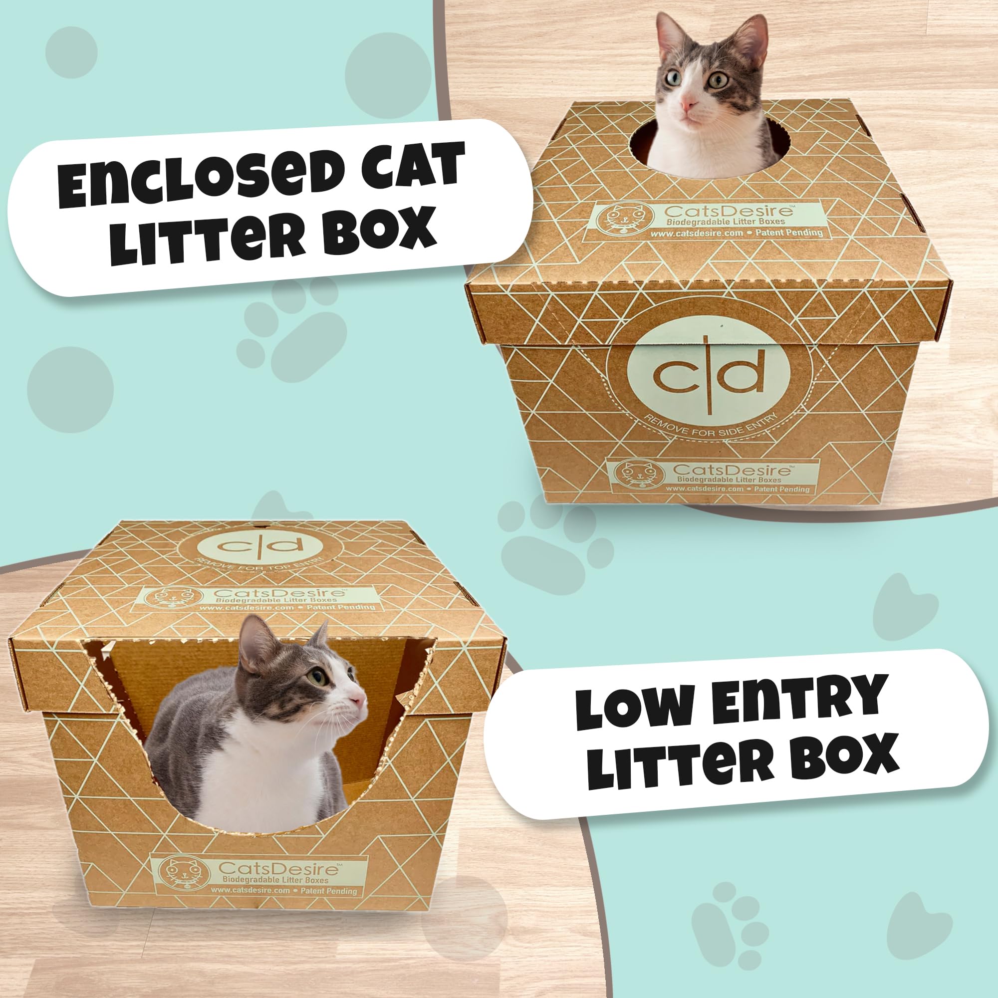 Amazon.com: Disposable Litter Boxes for Cats Sampler Both Our Patented  Products Woman Owned Small Bus. Made in USA Tray 8.5in. Tall Top Entry Litter  Box 15in. Tall. 2021 A.I.C.C. Innovation Award :