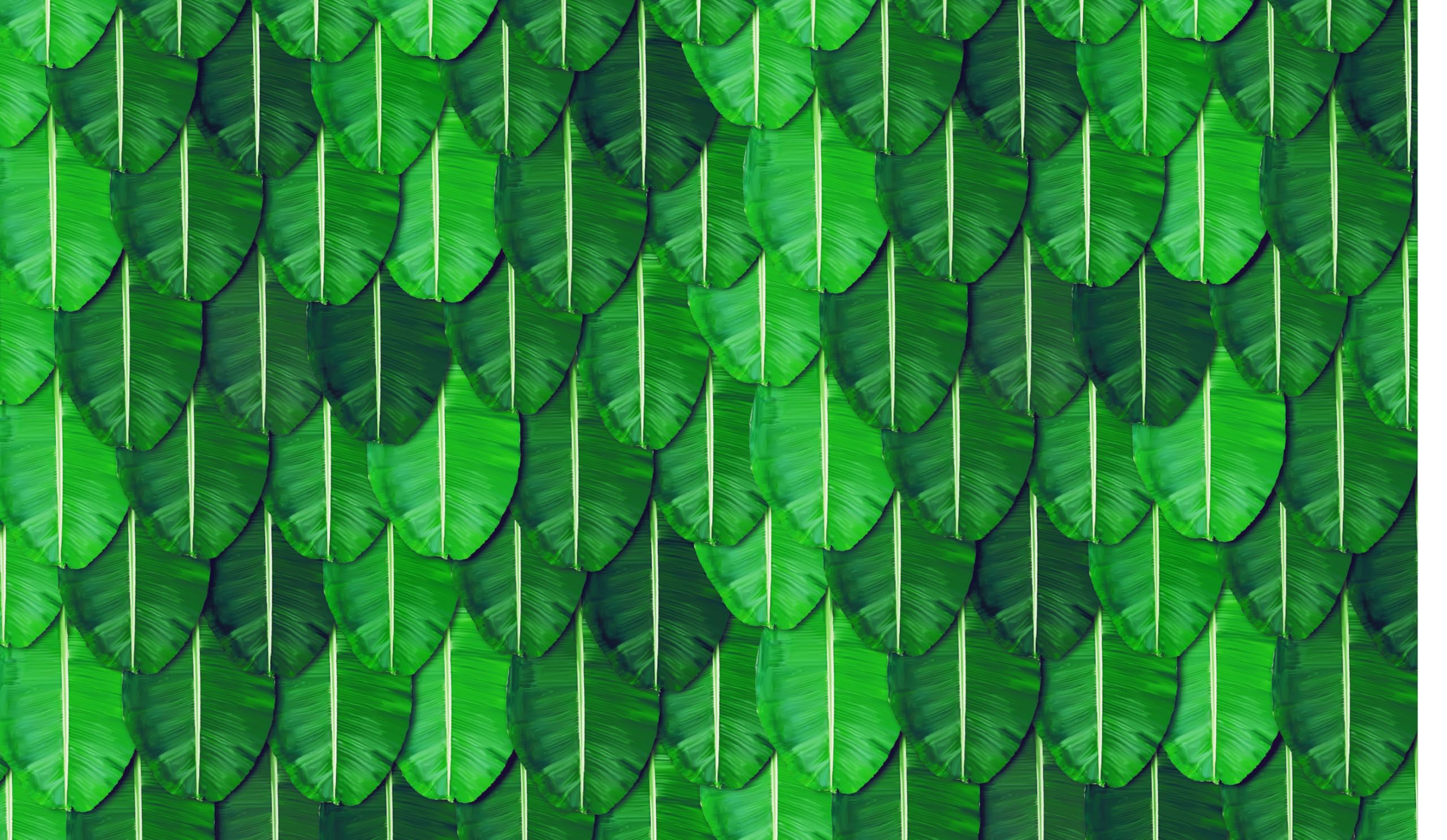 Backdropon Wedding Backdrop Cloth Banana Leaf for All Festivals/House Hold Functions/Ceremonies Banana Leaf Design(Aaritaku) Design Size 3 Feet Height and 5 Feet Width(3 * 5) (B0CV3TGCS7) Amazon Price History, Amazon Price Tracker