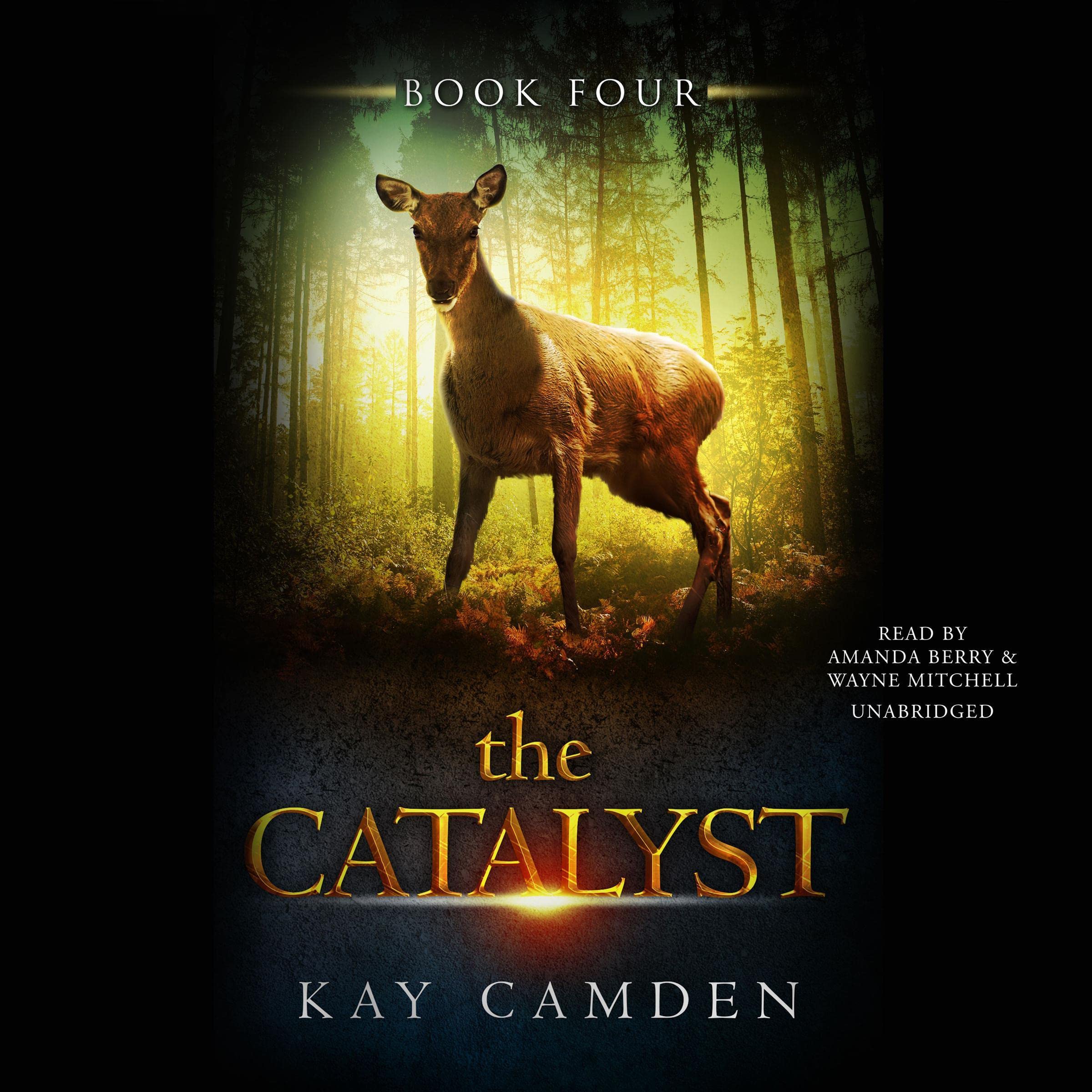 Cover art for The Catalyst