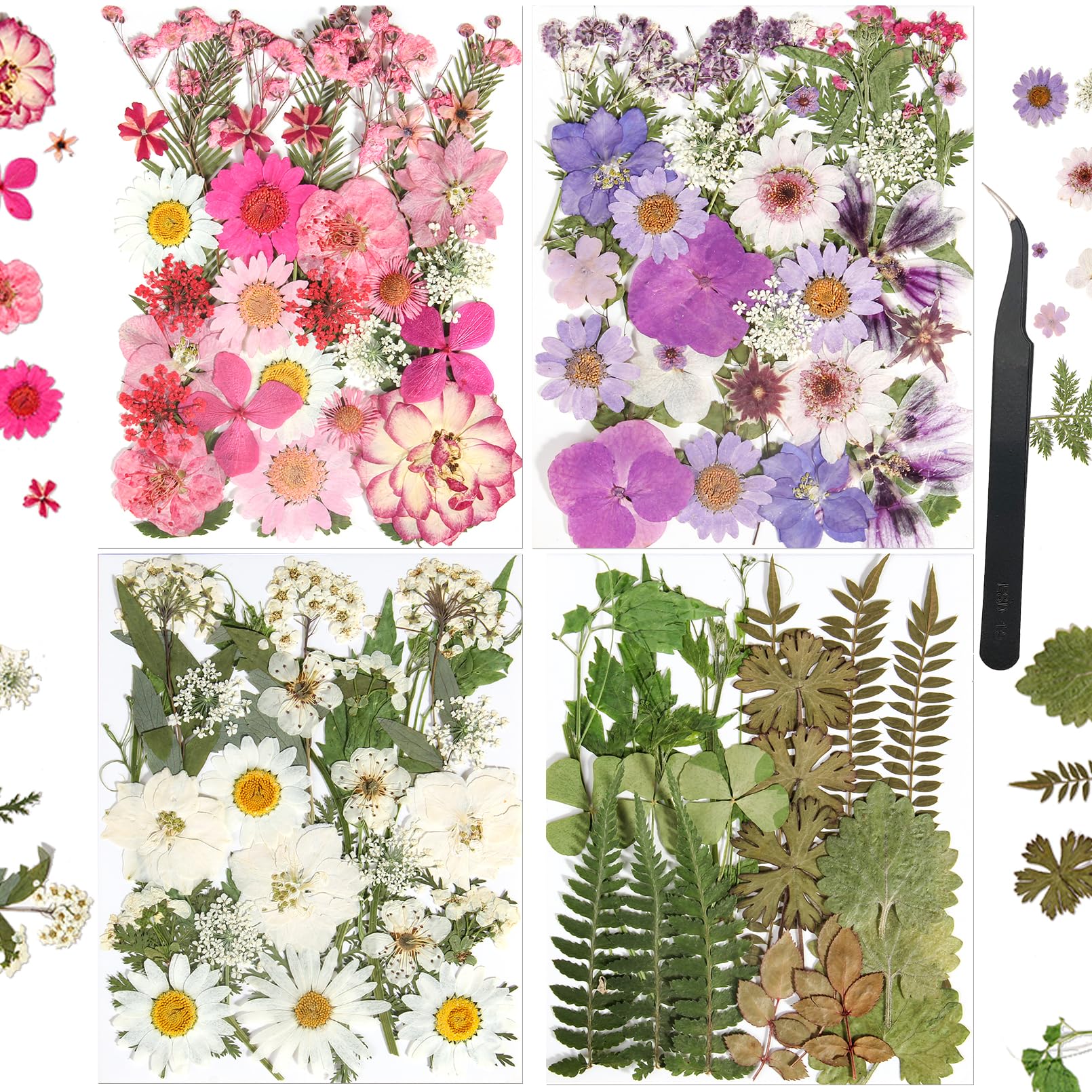 nisetten 110+PCS Pressed Flowers - dried and preserved flora | Mubboo