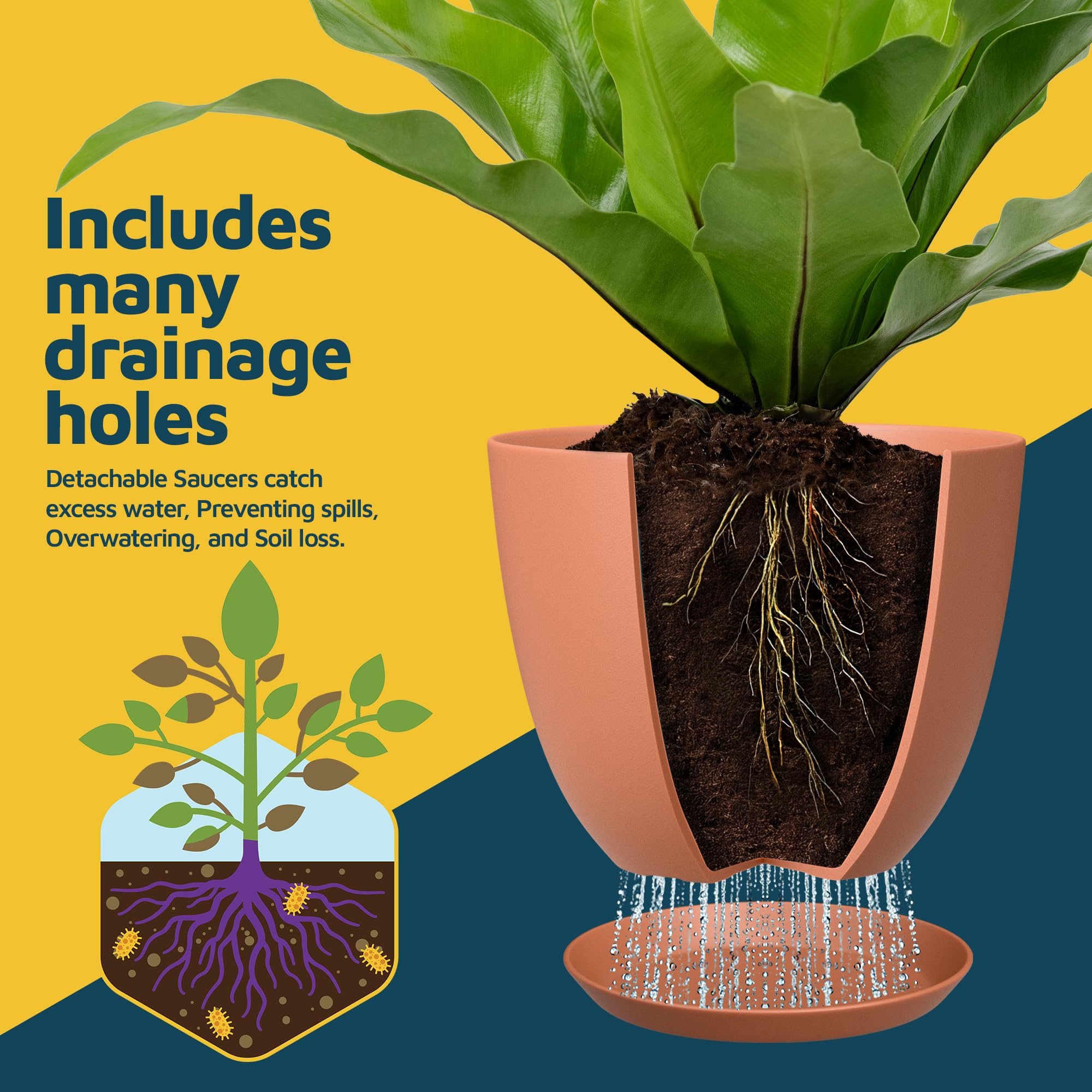 Amazon.co.jp: テラコッタ植木鉢 排水穴&ソーサー付き 5パック 屋内