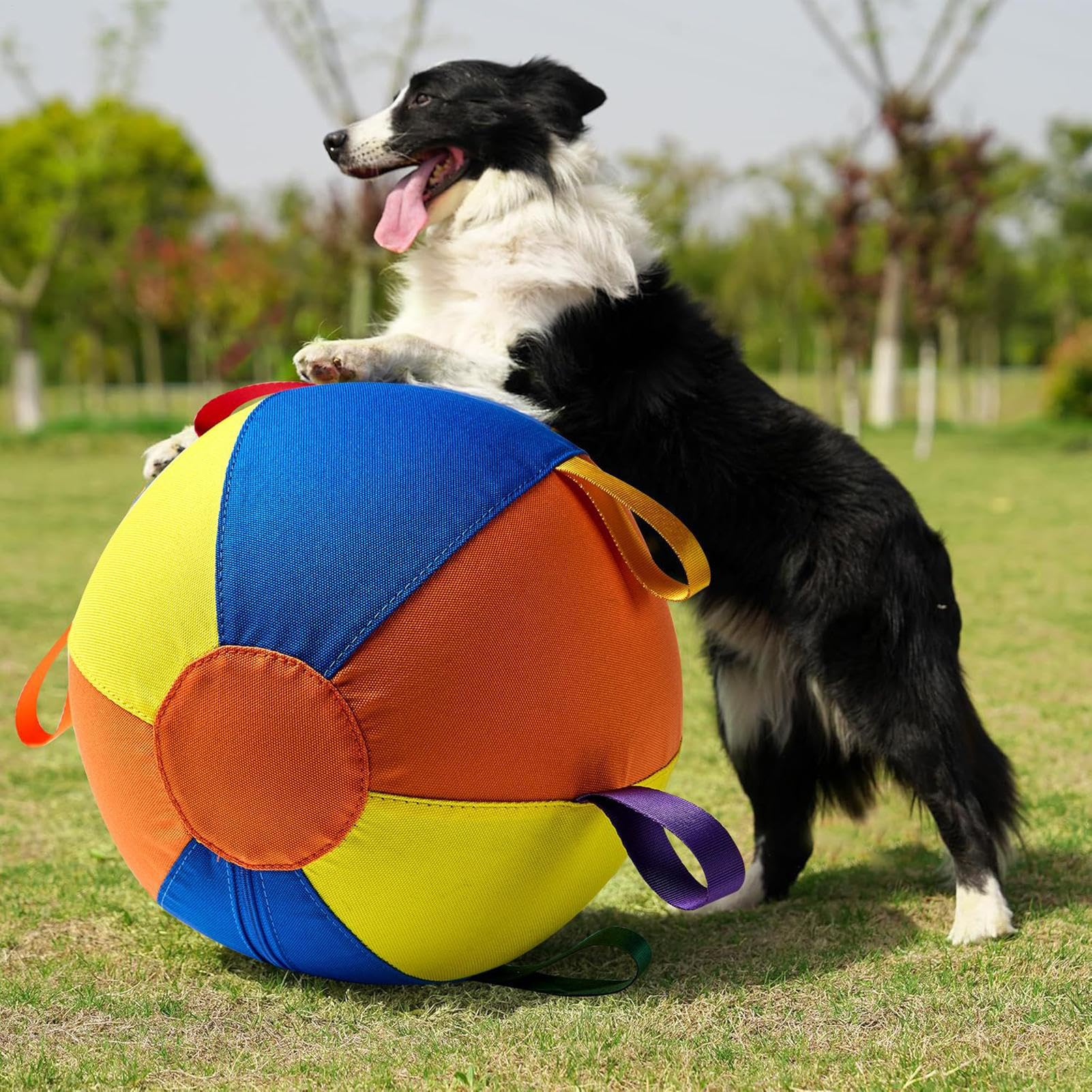 à Balles pour Chiens Anti-Morsure sécurisé pour Chiens agressifs