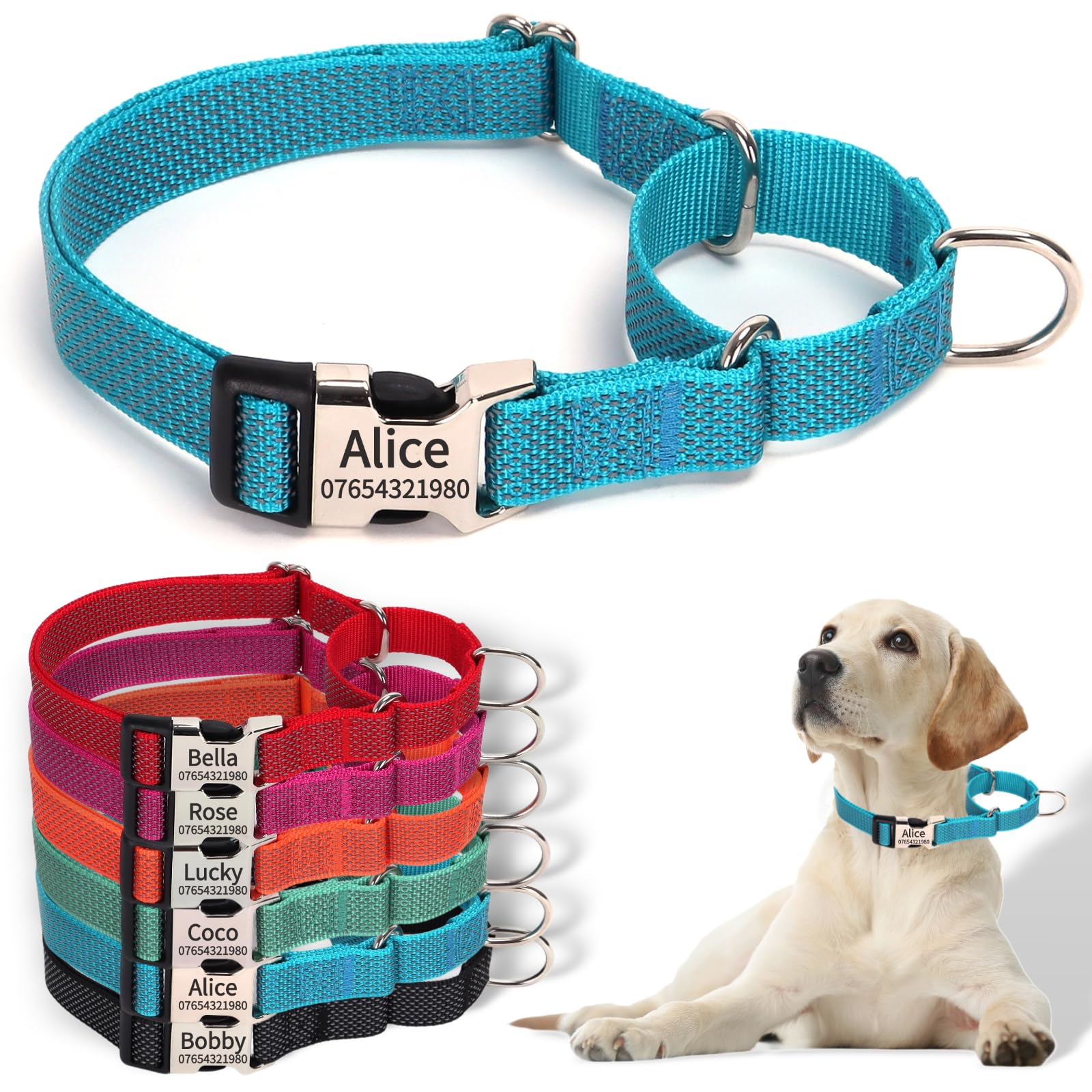 SEOUGEE Martingale Dog Collar Personalised, Reflective Nylon Escape-proof Anti-pull Dog Collars with Custom Engraved Metal Buckle, Walking Training Daily Used for Large Dogs (L Sky Blue, 45-65cm)