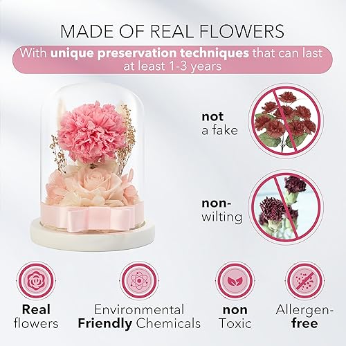 Miniatura 3 de Flores: Rosa preservada y clavel en cúpula de cristal - Decoración romántica para el hogar y regalo - Ramo fresco, flores para siempre, regalo para