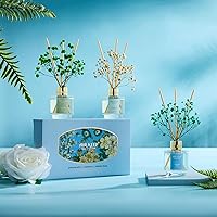 Vista 8 de Airkeep juego de difusores de esencias de 3 unidades, difusores de esencias de aceite de jazmín, menta, gardenia, fresia y pera para aromaterapia