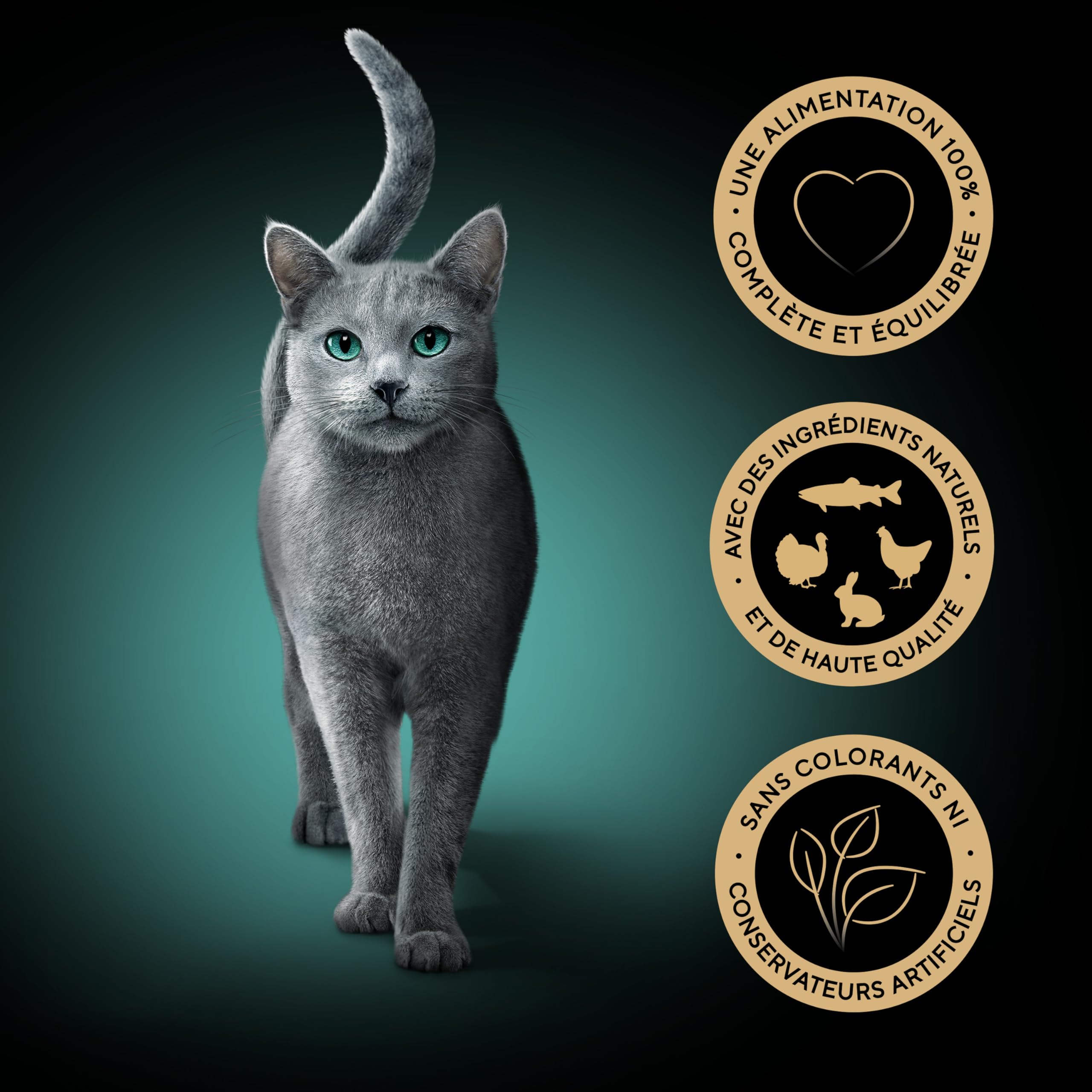 Sheba Sauce Collection Barquettes Nourriture Humide pour Chat Adulte Sélection Mixte 4 variétés 12x85g