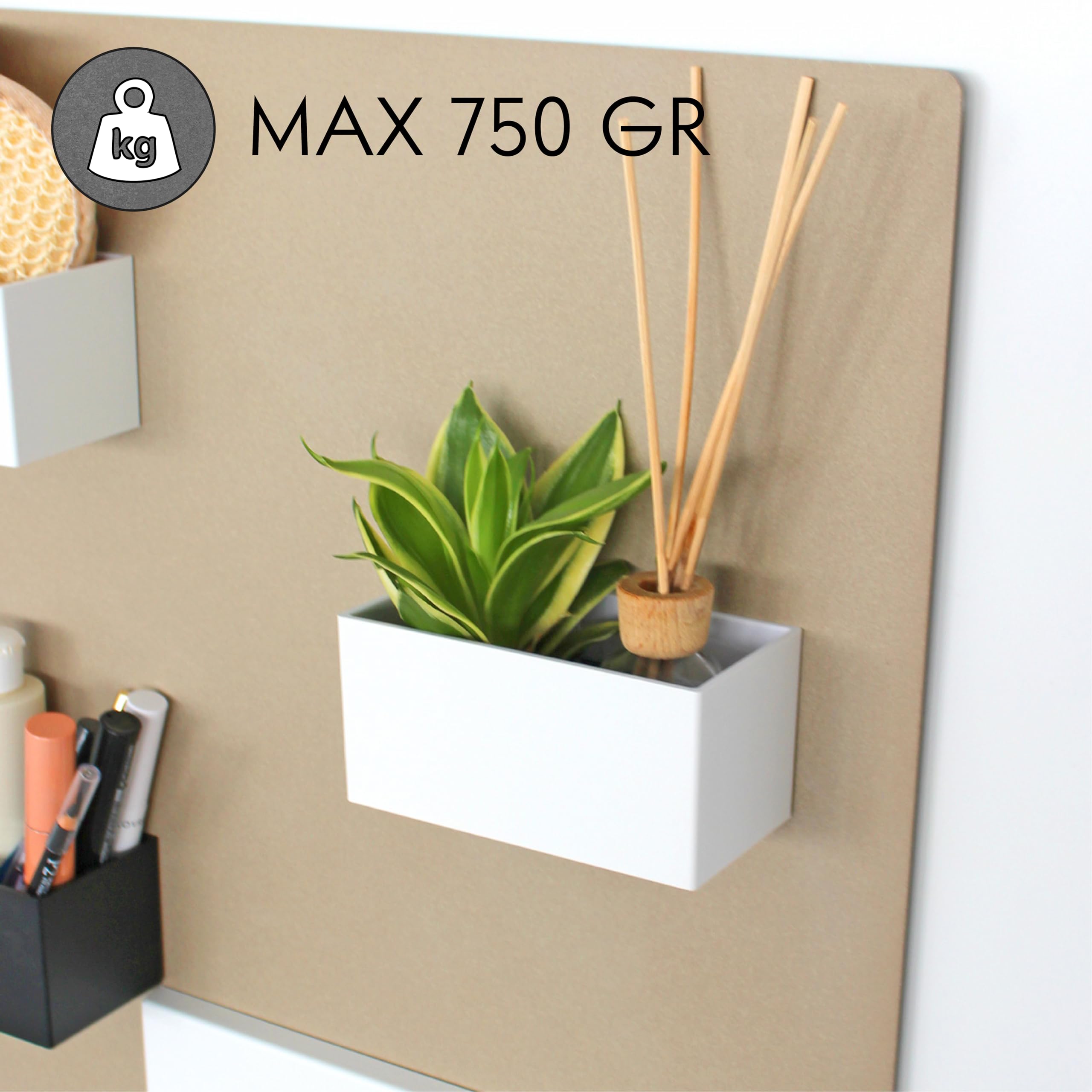 Magnetische Behälter und Übertopf | Innenarchitektur | Shop