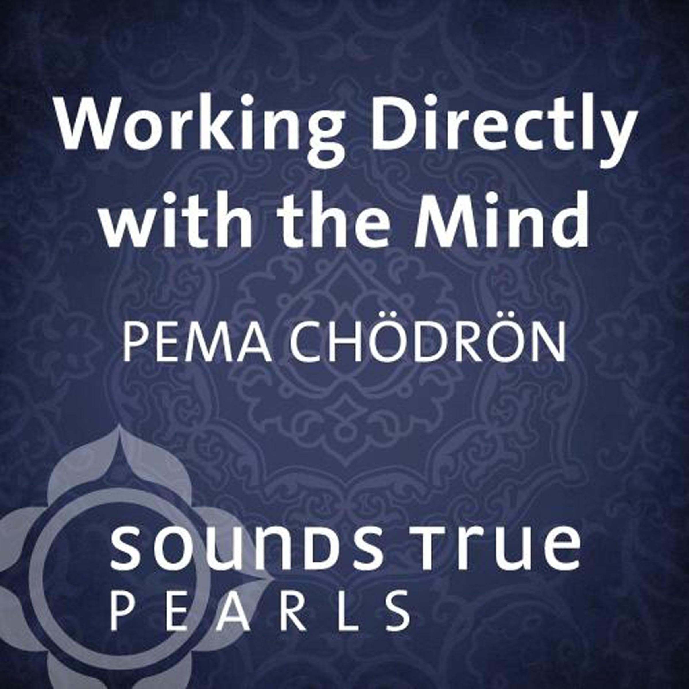 Cover art for Working Directly with the Mind