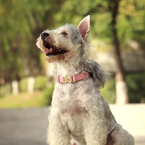 Miniatura 7 de PET ARTIST Collar de perro de nailon y cuero suave de color sólido, collar básico elegante y personalizado para perros lindos, hebilla de color