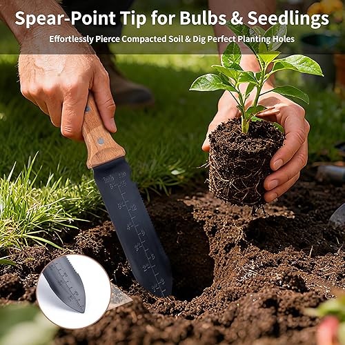 Miniatura 7 de YANG Hori Hori - Cuchillo de jardín de acero inoxidable de 7 pulgadas con funda de tela Oxford, mango de madera de haya de espiga completa,