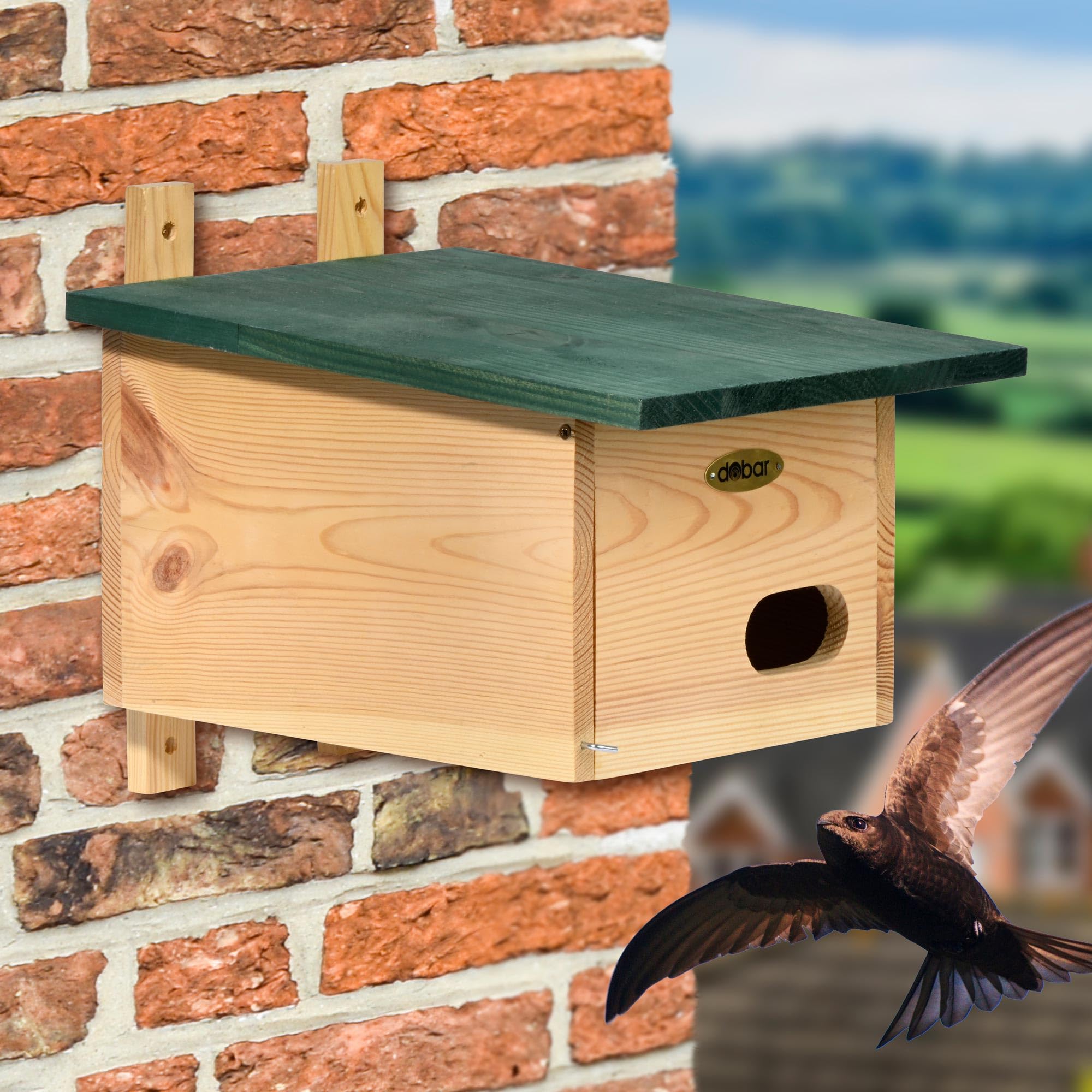 dobar VOBU Nistkasten aus Holz für Mauersegler - Höhlen-Nistkasten mit Ø 64 x 32 mm Einflugloch - Grün