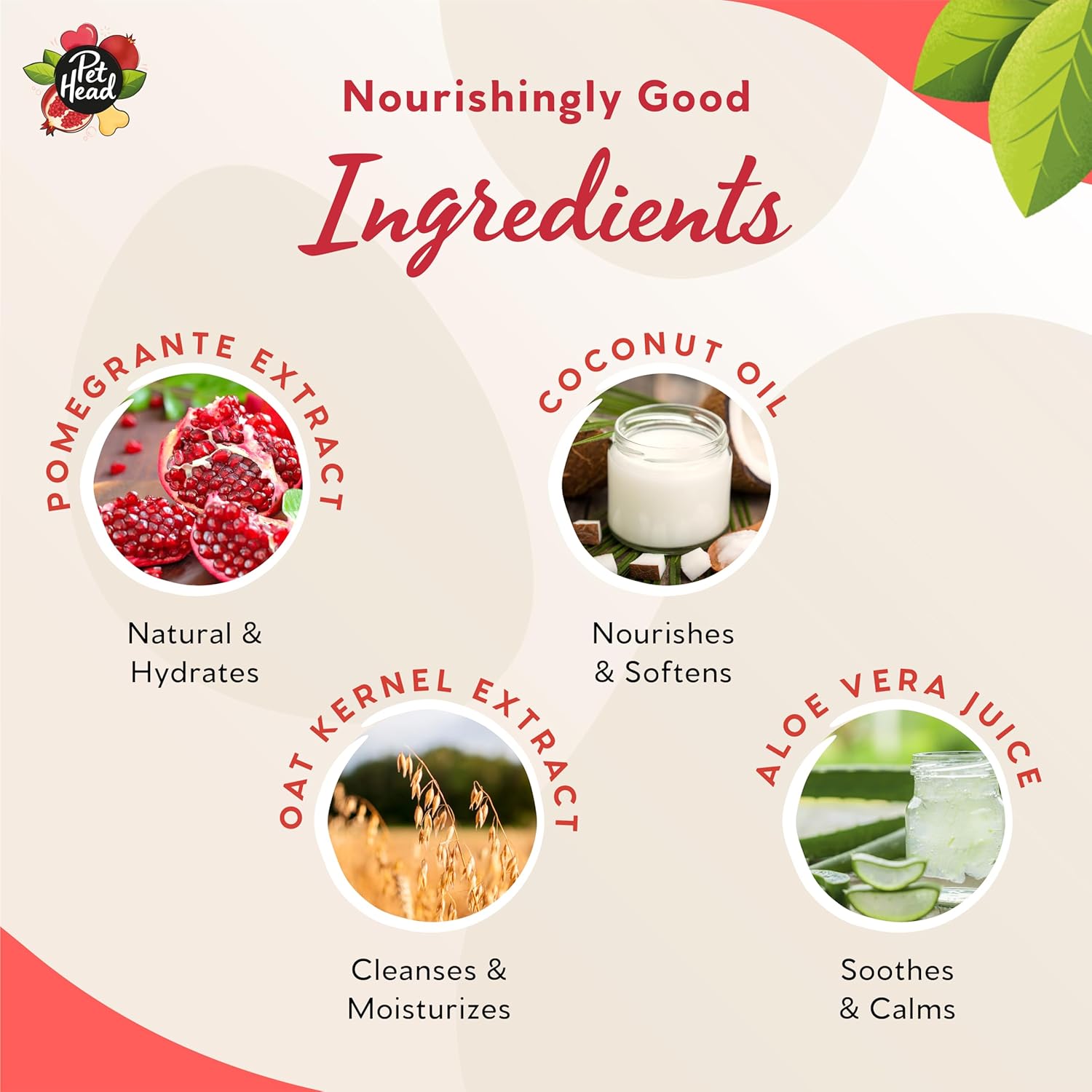 Pet Head Pomegranate Shampoo Bar for Dogs | 3in1 Cleanses, Hydrates & Nourishes all Dog Coats | With Oat Kernel Extract & Coconut Oil | Free of parabens & sulphates | Gentle formula for Puppies | 85g 5 81MnIIPWGDL. AC SL1500