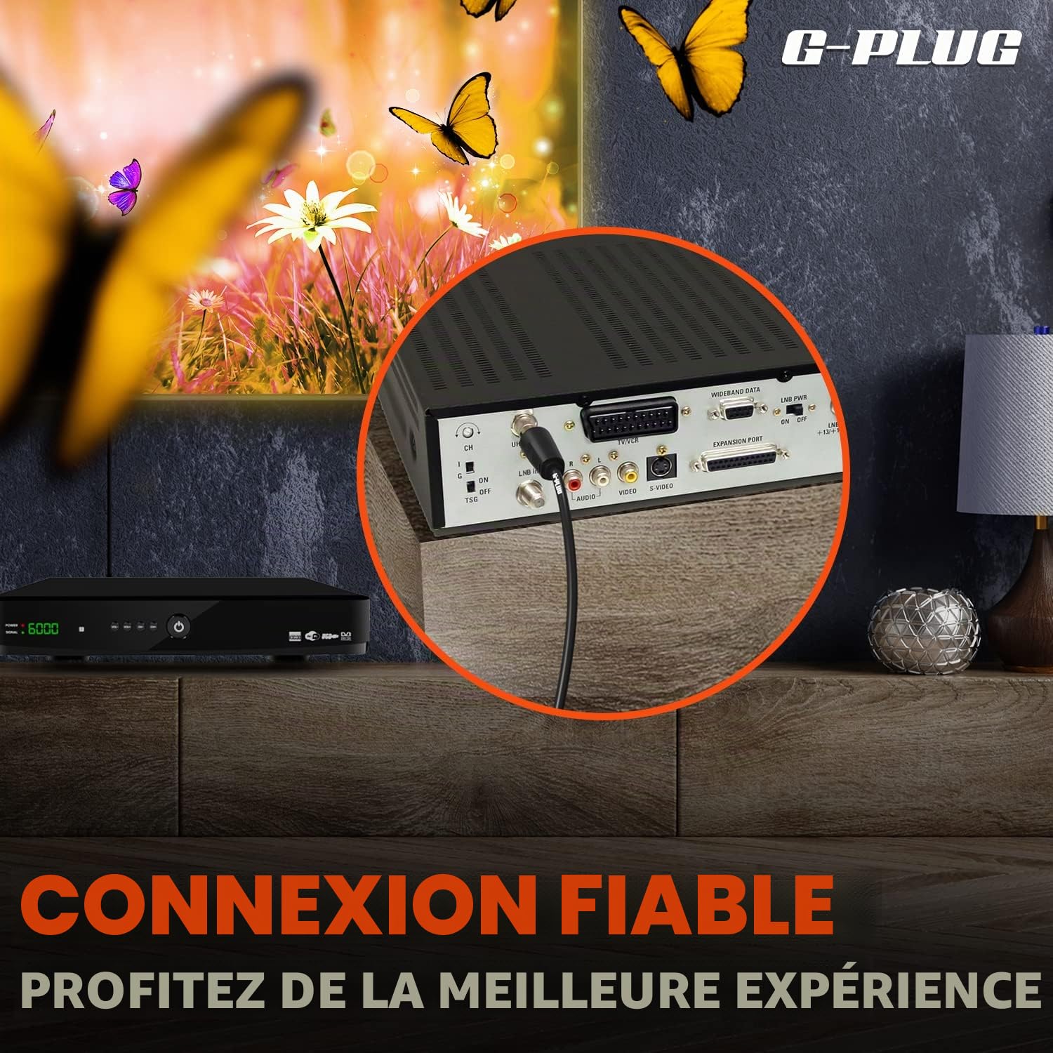 Câble d’Antenne TV 2m Angle Droit Coaxial Mâle-Mâle avec Adaptateur Connecteurs RF Plaqués Or