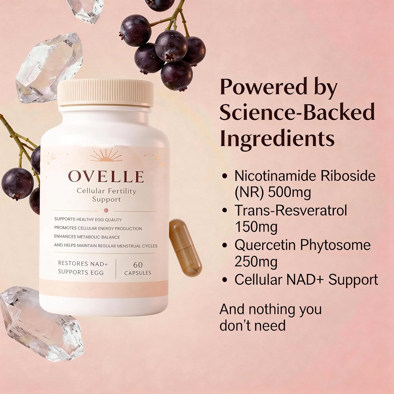 velura Ovelle Fertility Supply for Women - Ovulation, Hormonal Balance & Regular Cycle Support - 60 Vegetarian Capsules