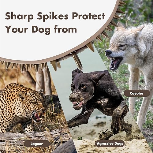 Miniatura 3 de WANYANG - Collar de perro con tachuelas, collar de perro con picos grandes y afilados, cuero geniune, protección para el cuello contra mordeduras,