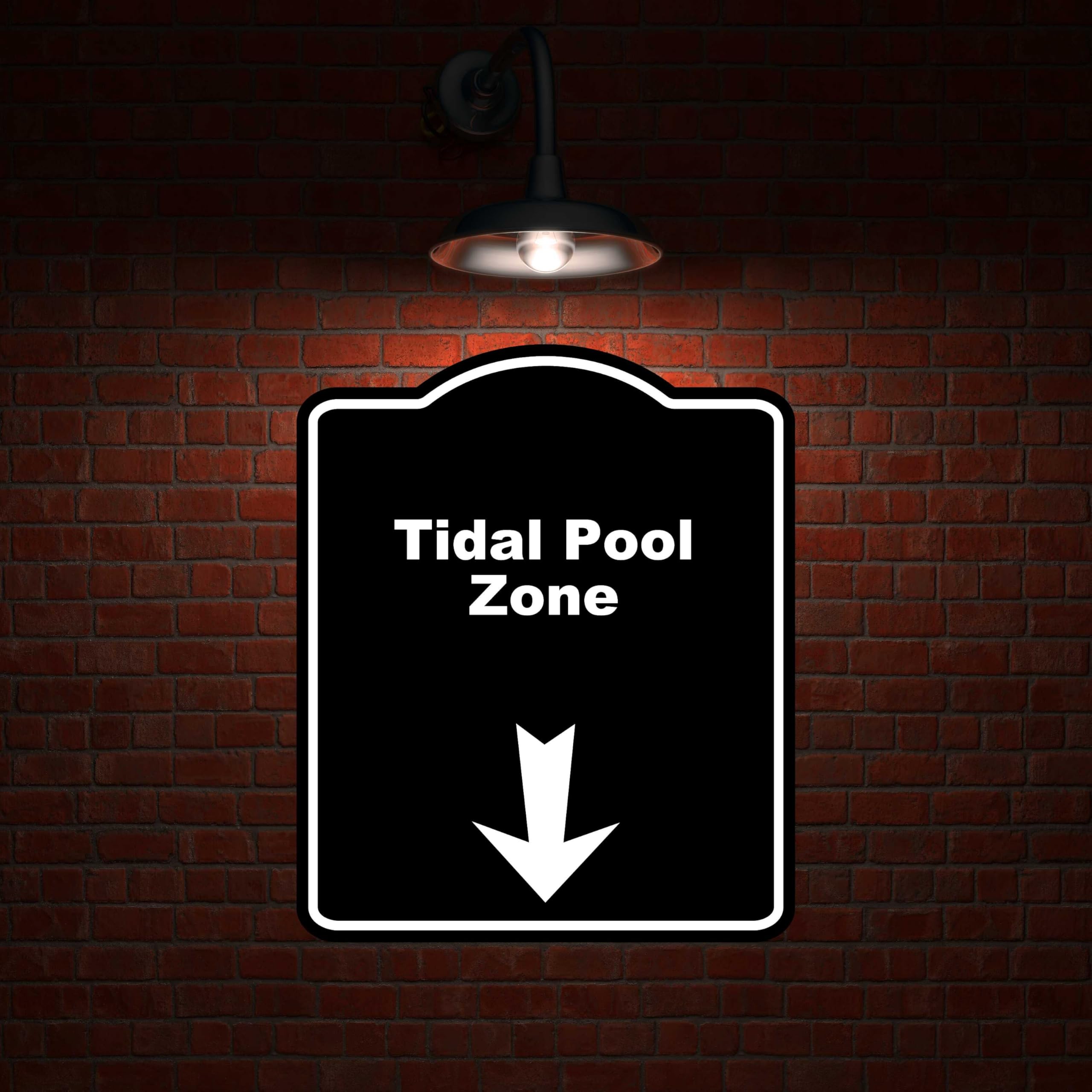 Tidal Pool Zone Black Sign Arrow Down Aluminum Composite Sign 8.5 x 10 inches