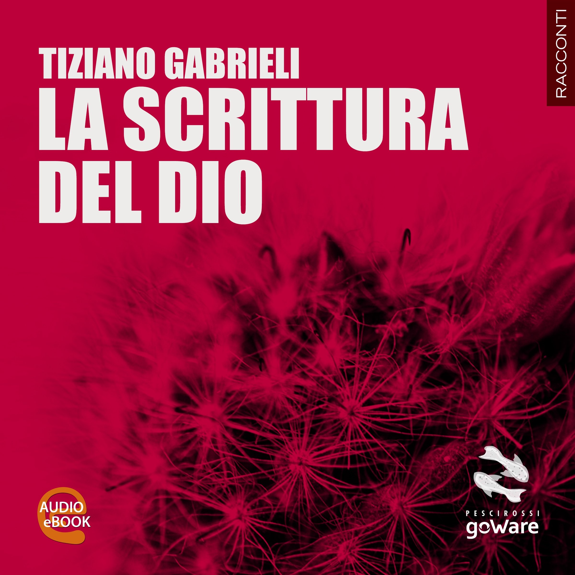 La scrittura del Dio