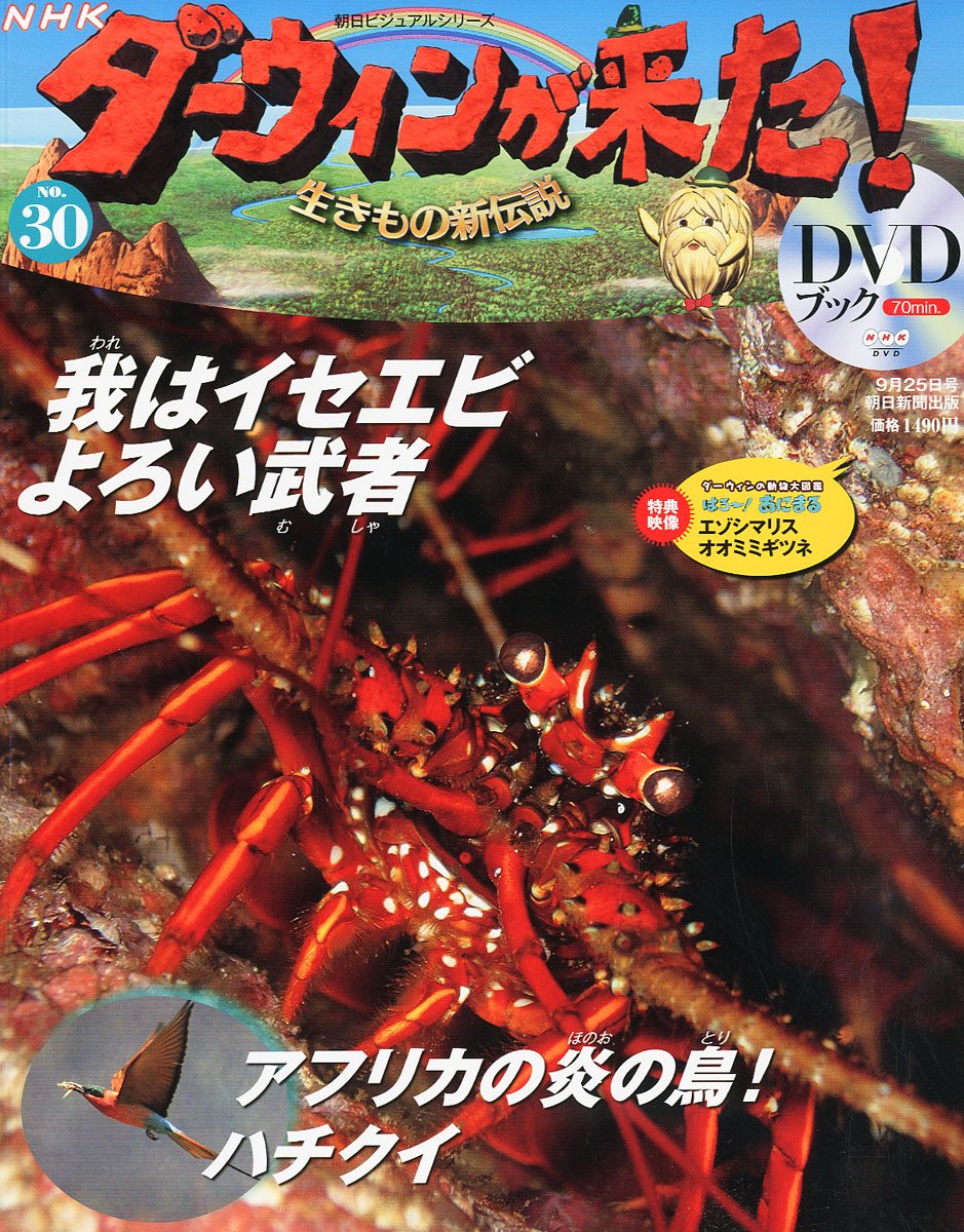 お値下げ　ダーウィンが来た! DVD付き冊子 1〜33巻 までのうち31冊セット Amazon.co.jp: NHK ダーウィンが来た DVDブック 1巻～50巻セット
