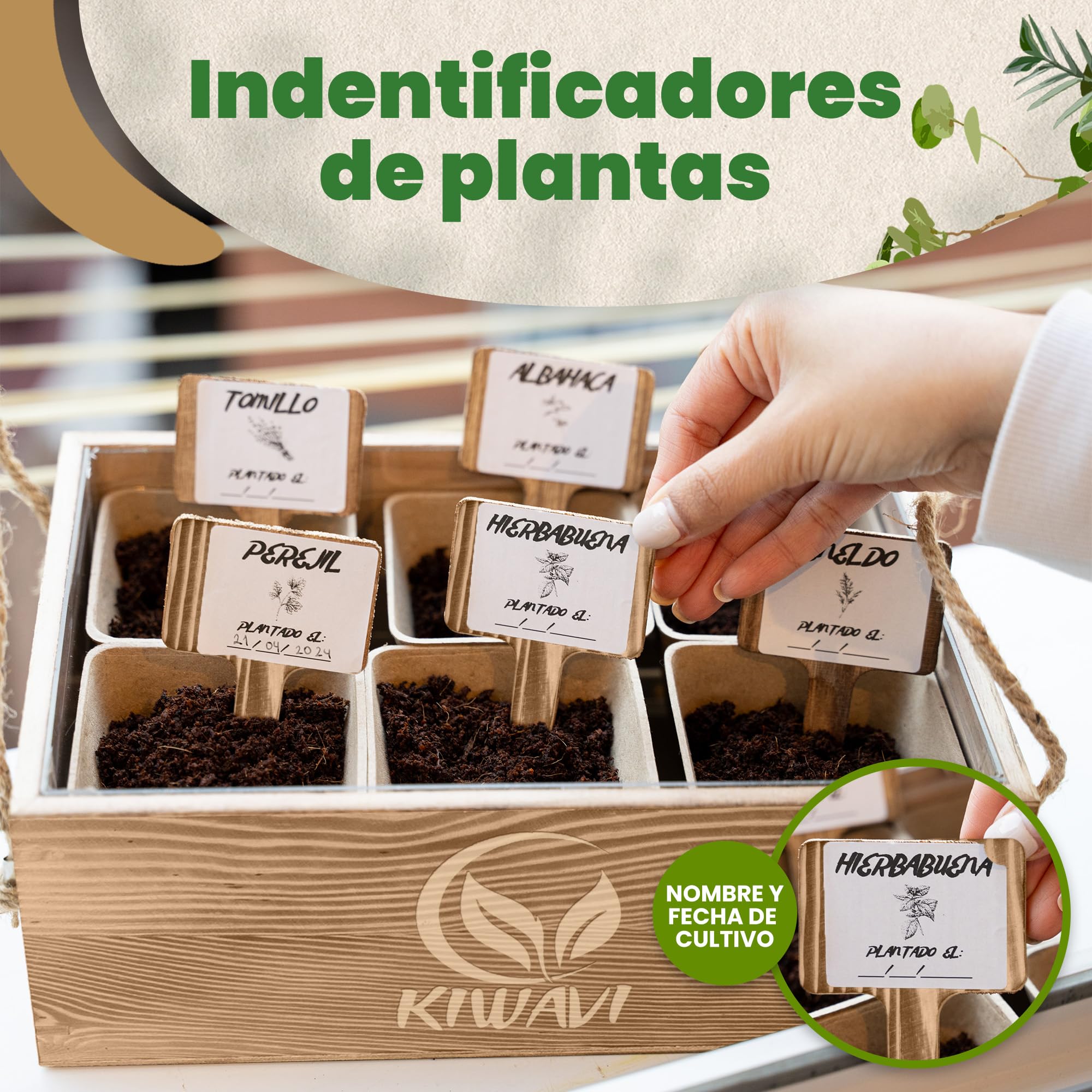 Mini Huerto Urbano para Interior - Kit de Cultivo de Plantas Aromáticas (Albahaca, Perejil, Cilantro, Hierbabuena, Eneldo, Tomillo) | Huerto en Casa con Semillas