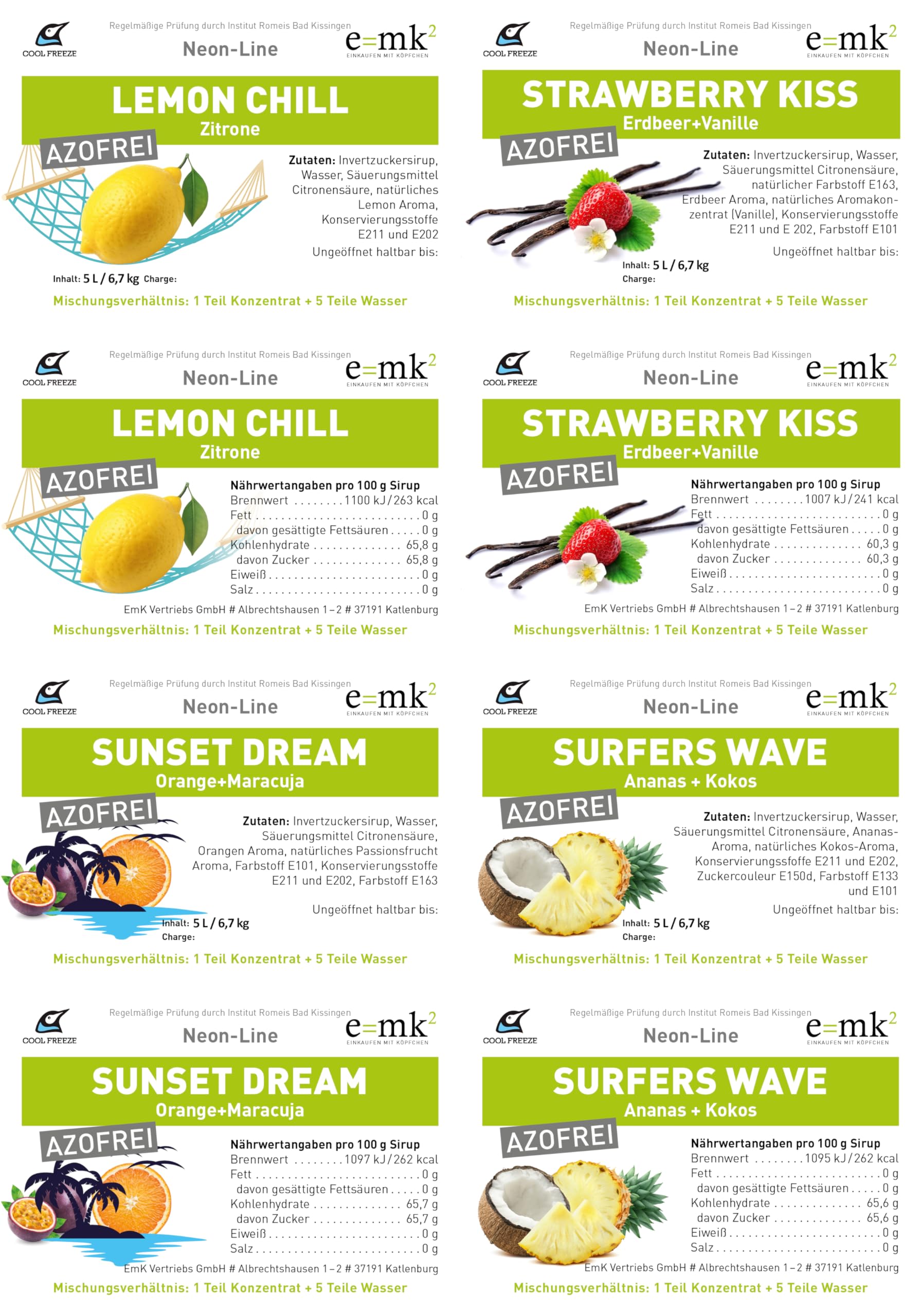 Slush-Sirup Eis 4×5 Liter Summer Edition Mix-Set – Strawberry Kiss | Sunset Dream | Lemon Chill | Surfers Wave | Konzentrat | azofrei | Angebot-Set im Profi-Kanister