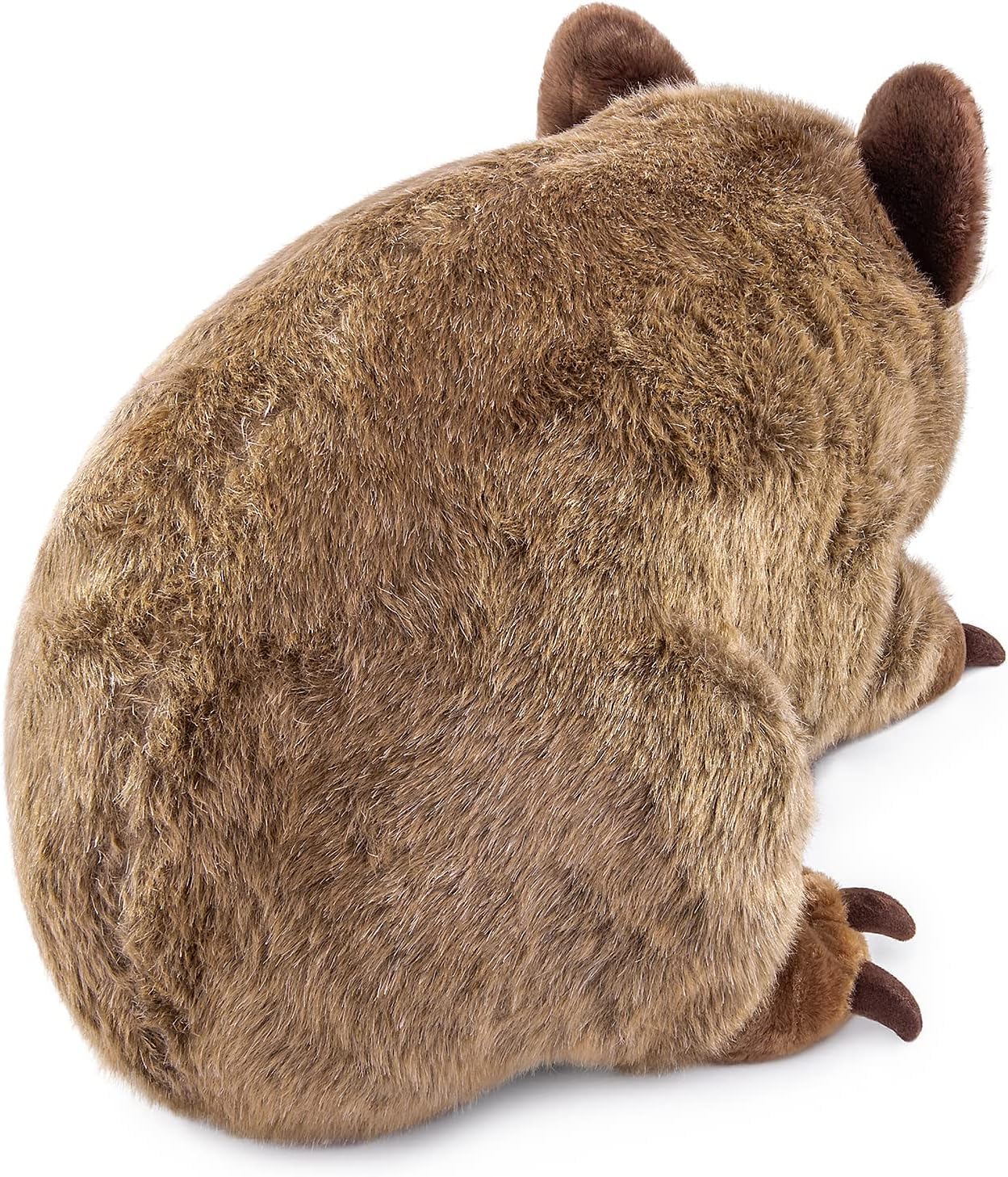 Amazon.co.jp: ZHONGXIN MADE ウォンバットぬいぐるみ 30cm リアルな