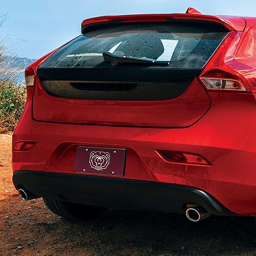 Miniatura 720 de Rico Industries Placa de matrícula de metal con incrustaciones láser de Florida Gators de la NCAA plateado,Alternativo,Negro -,Negro/Plata,Azul,azul