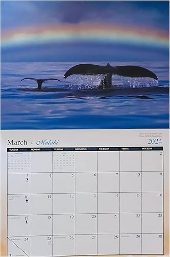 Miniatura 3 de Long's Hawaii 2024 - Calendario de pared hawaiano de doce meses (Maui The Valley Isle)