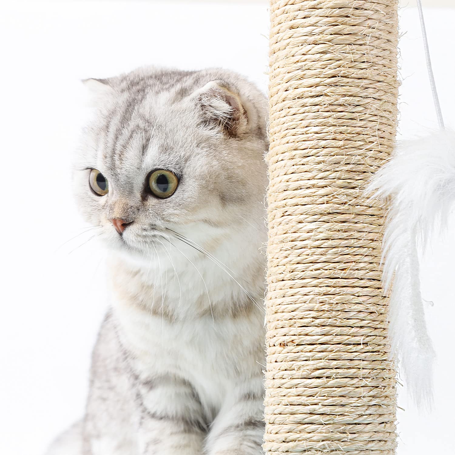 Nobleza - Tiragraffi per gatti,Albero rampicante per Gatti con tirgraffi e Gattino per Far divertire Il Tuo Gatto, Blu, 25 * 25 * 35cm