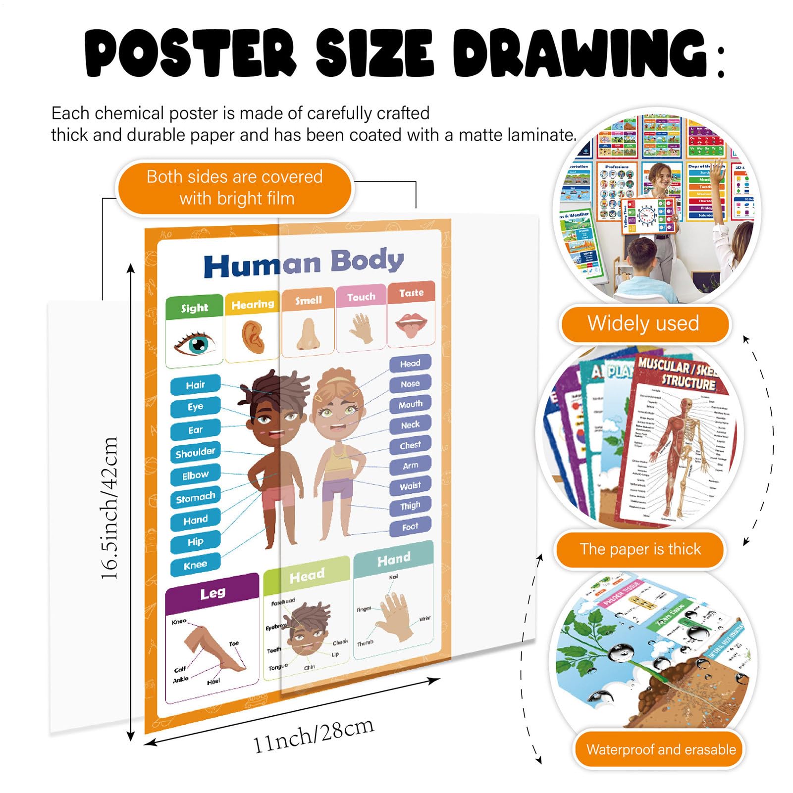 Poster educativo alfabeto numeri per bambini età prescolare asilo scuola ufficio interno