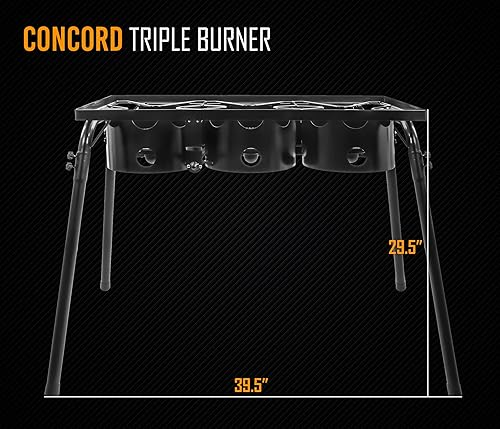 Miniatura 3 de CONCORD quemador triple c/regulador