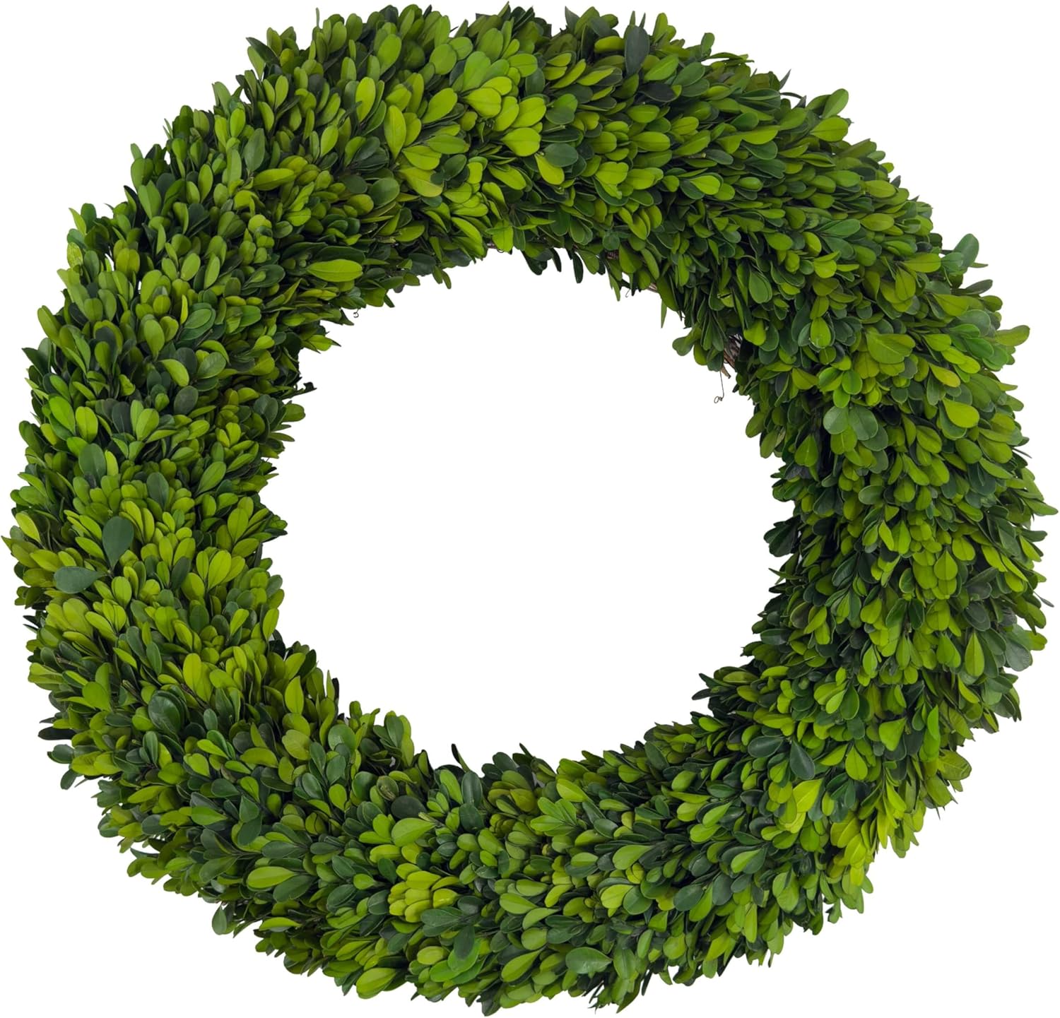 Shine Company 20" Real Preserved Boxwood Wreath – Green (Handcrafted)