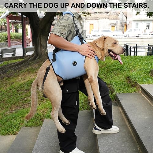 Miniatura 10 de Coodeo Arnés de elevación para perros, soporte para mascotas y rehabilitación correas ajustables acolchadas transpirables para personas mayores,