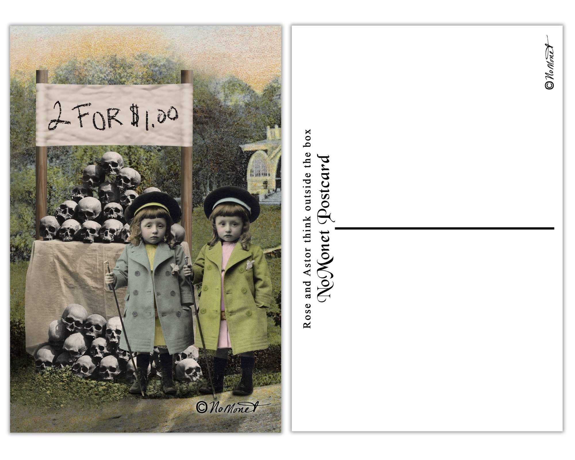 NoMonet - Rose and Aster Postcard Set