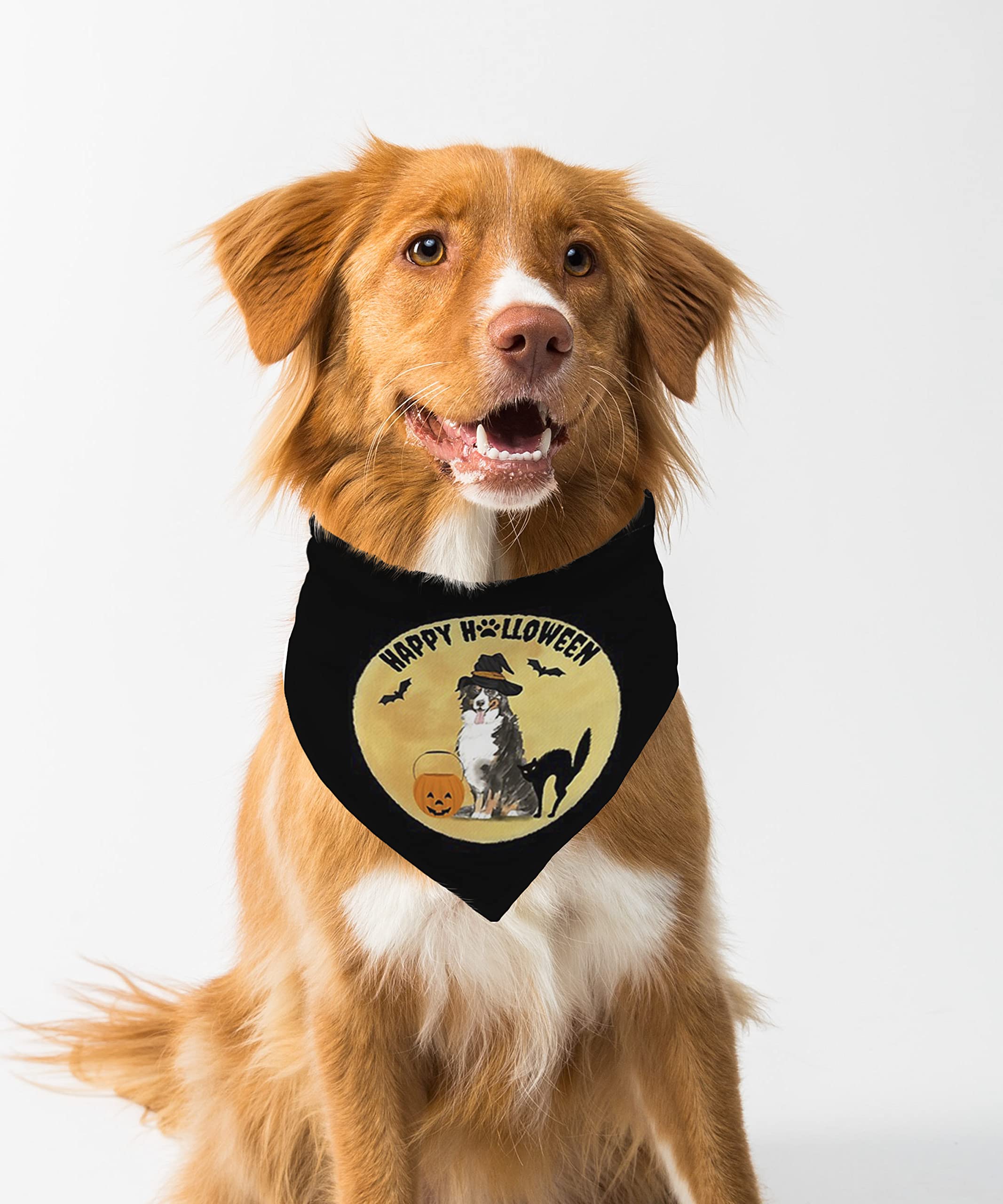 Farnup Adjustable & Comfortable Dog Bandana,Happy Halloween Dog, Graphic Printed Bandana for Dogs | Dog Scarf, Accessory | Gifts for Dogs-S/M (B0BVHG1QGY) Amazon Price History, Amazon Price Tracker