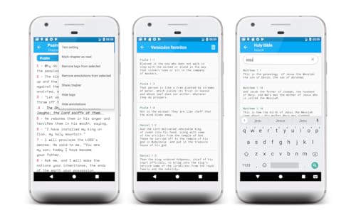 Niv Holy Bible - English