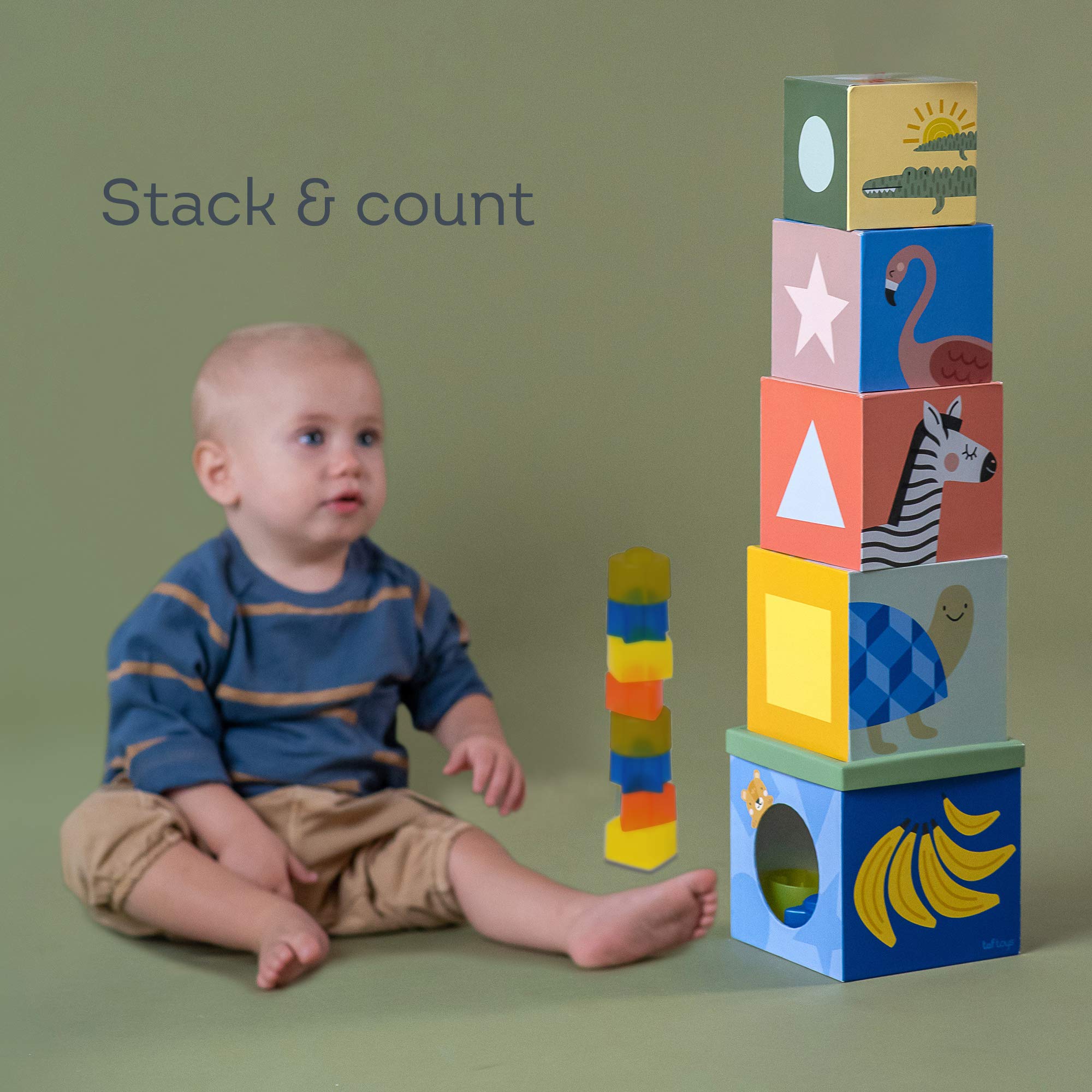 Taf Toys 12725 - Scatola delle Forme Savana