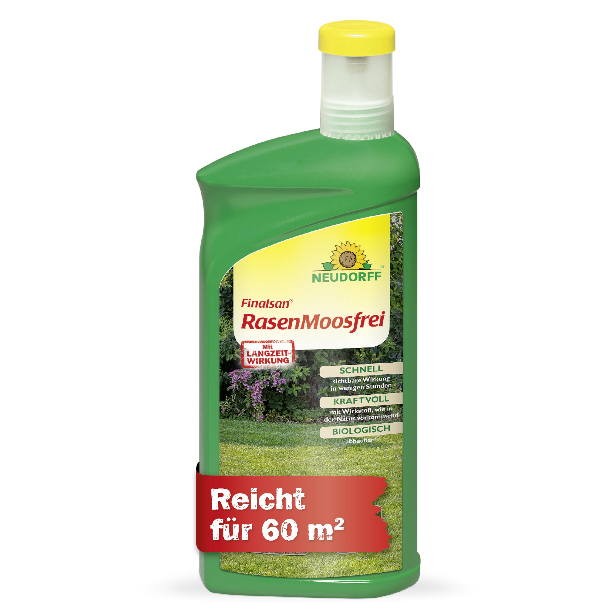 zuckermais saatgut landwirtschaft Saatgut Ziermais Mischung - Zea mays japonica main image 1