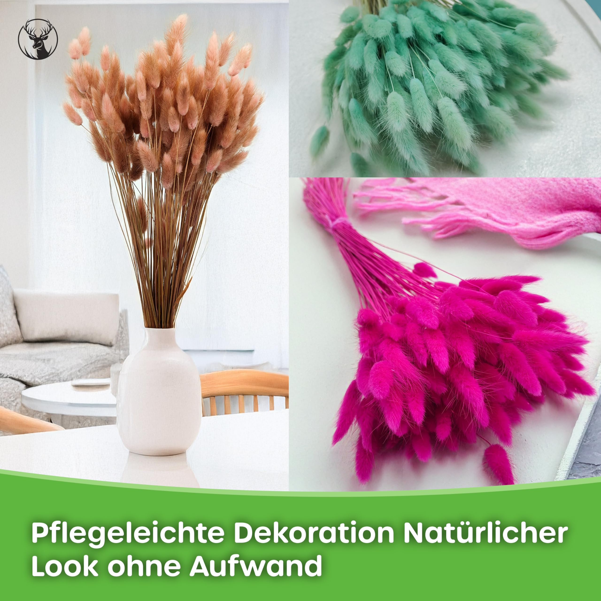 Enchanted Dekogras Getrocknetes Gras Ziergras Hasenschwänze Lagurus Ovatus Samtgras Häschen-Schwanzgras Trockenblumen Natürlich Boho 120 - 150 Stück 100 g Lachsrosa