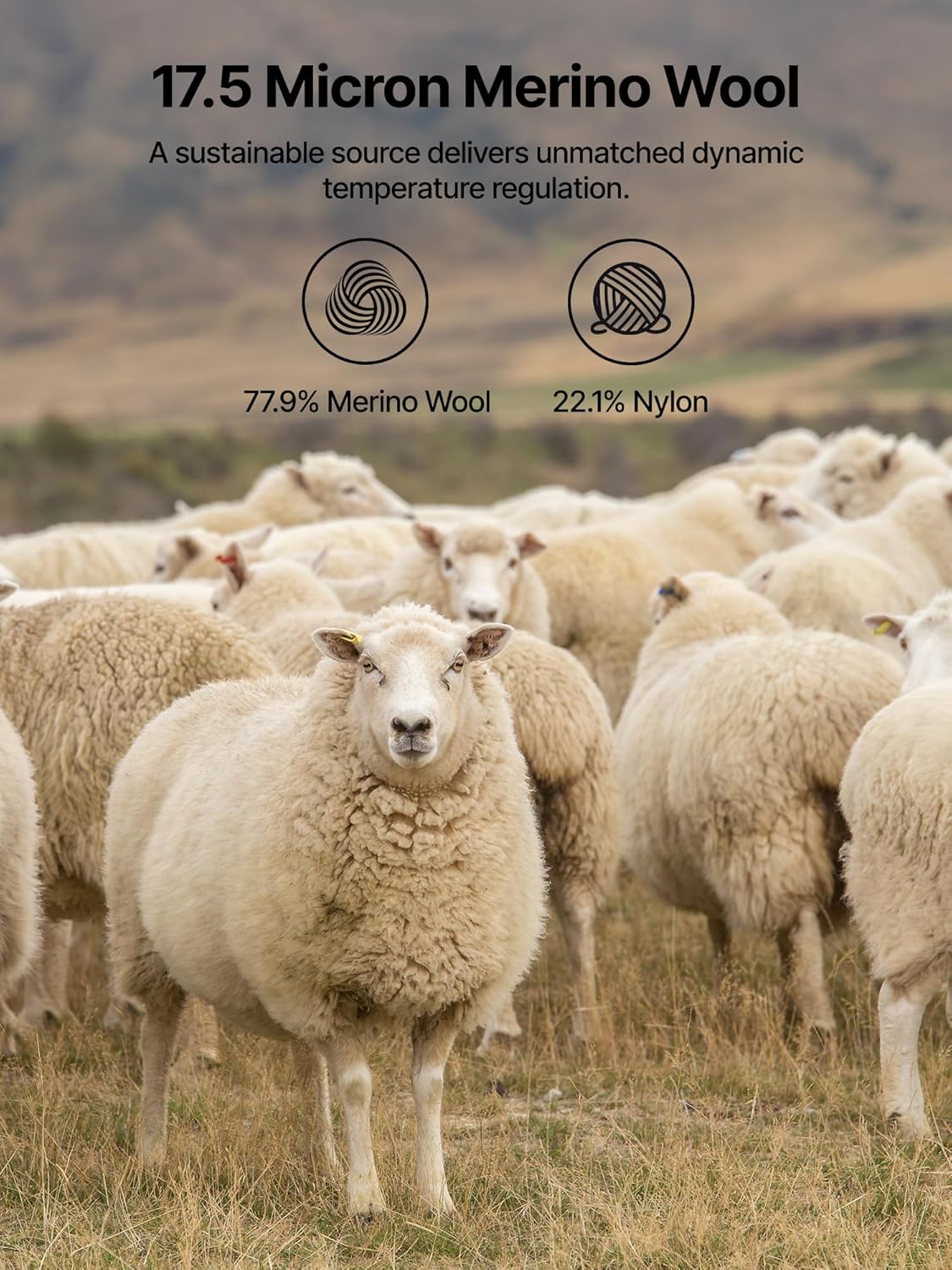 Fitouch Hinterland Women Merino Wool Base Layer Tops | Machine Washable Tee | Lightweight Shirt - Image 7