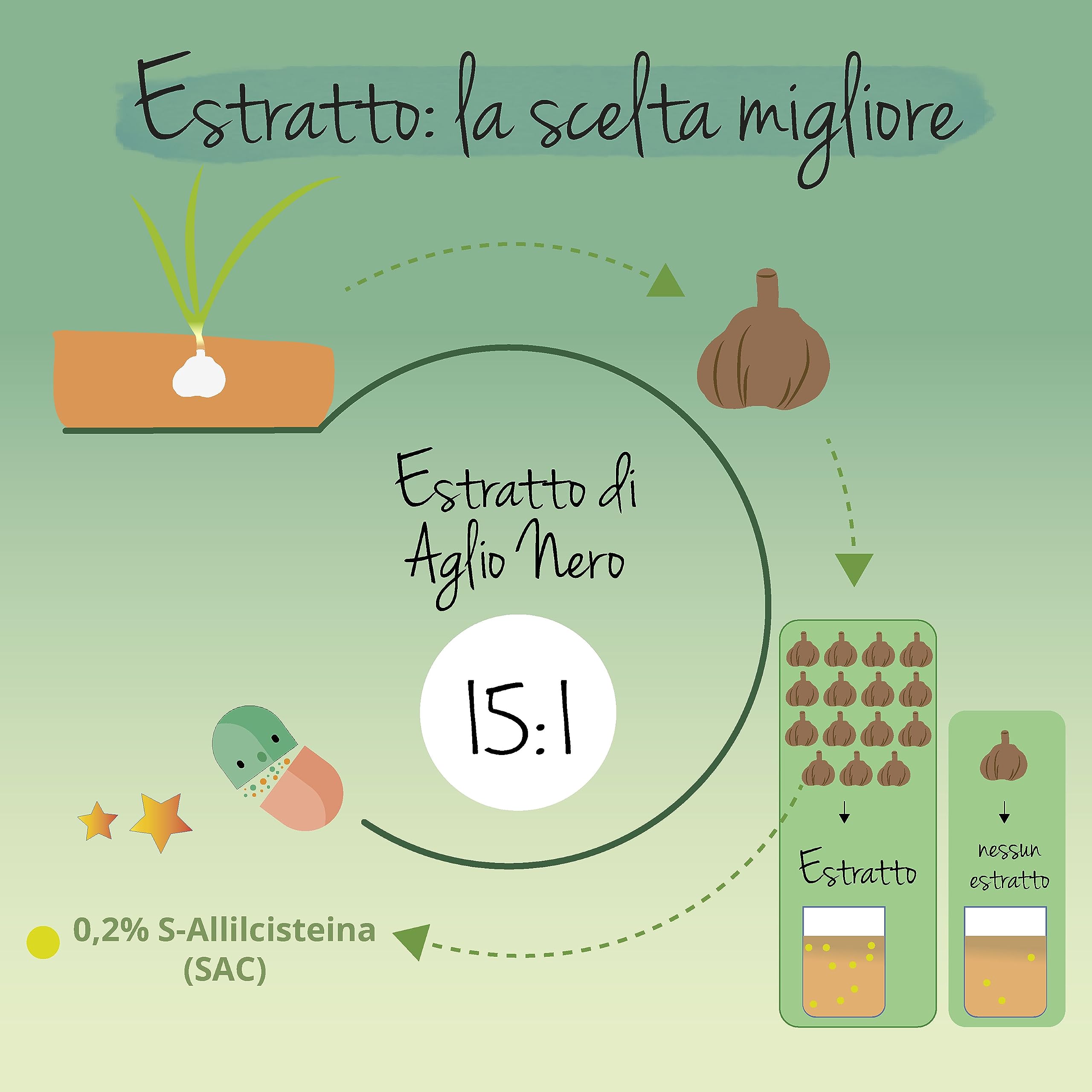 Aglio Nero Fermentato | 22.500 mg (15:1) | con 0.2% di SAC (S-allicisteina) | Capsule Inodore | Vegano e Senza Additivi | Vegavero®
