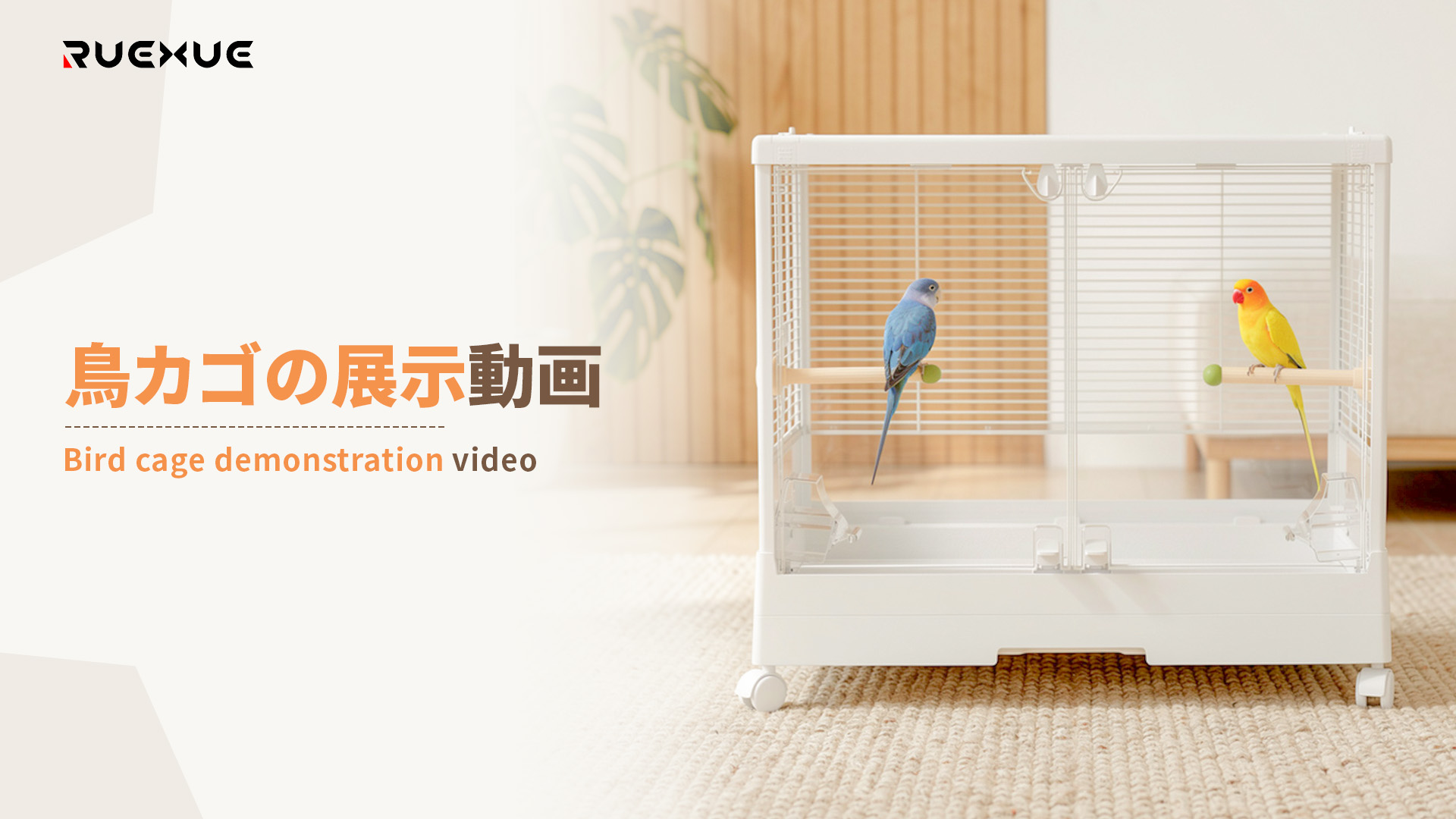 Amazon | Ruexue 鳥かご 大型 バードケージ 【21cm高い囲い 餌飛び散り