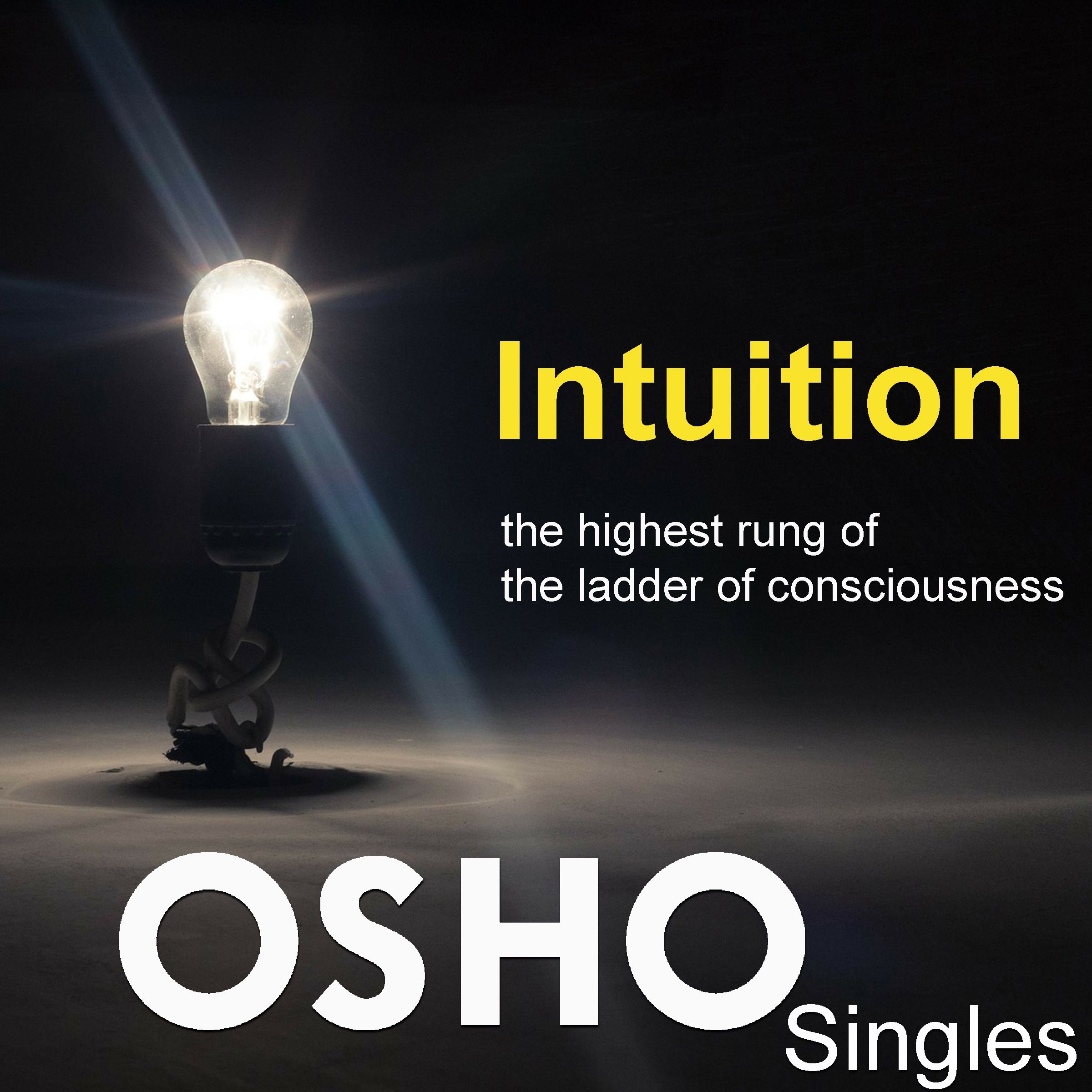Intuition