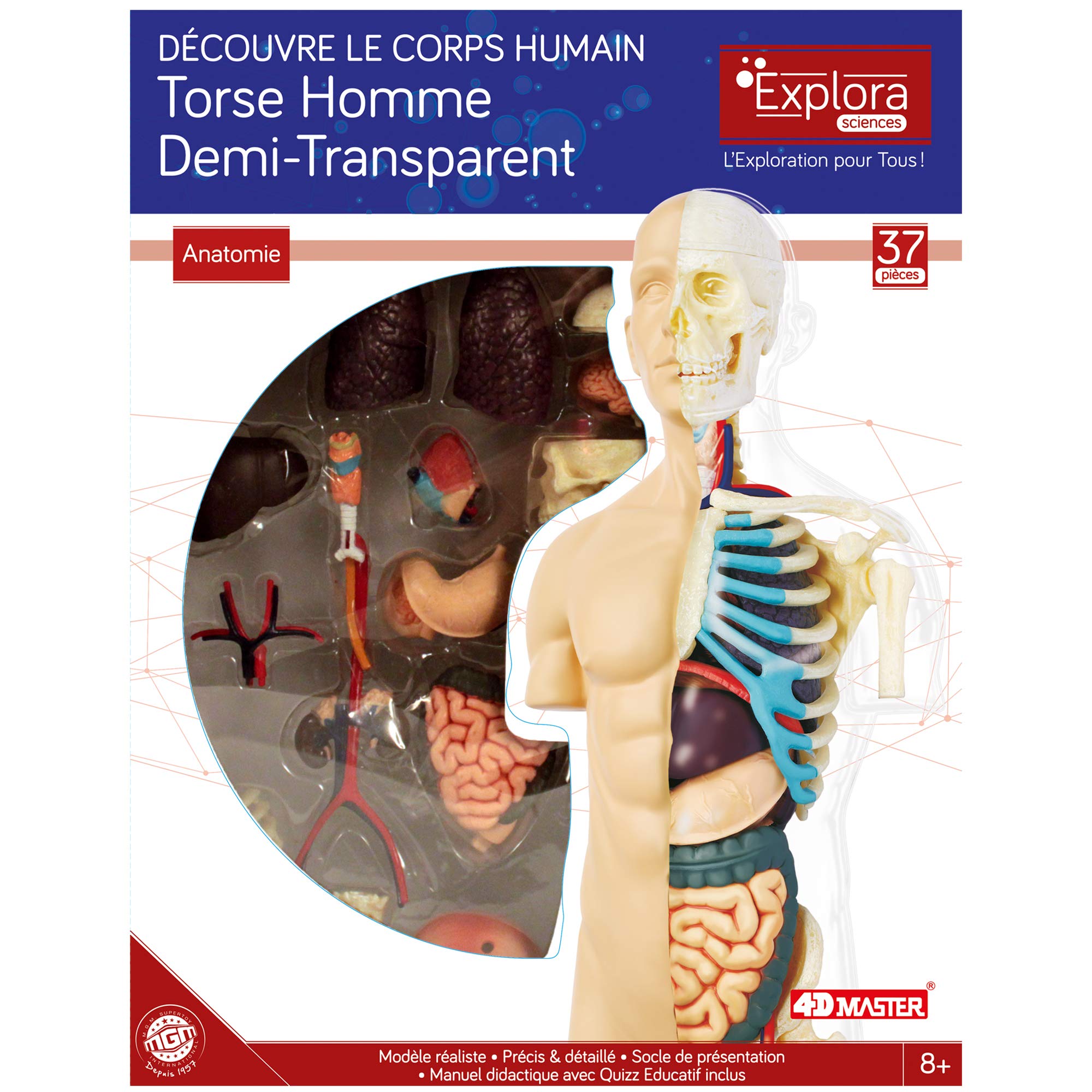 Kit Anatomie Chat EXPLORA • 28 Pièces • Modèle 3D Réaliste • Éducatif 8+ • Quiz Inclus • 38cm