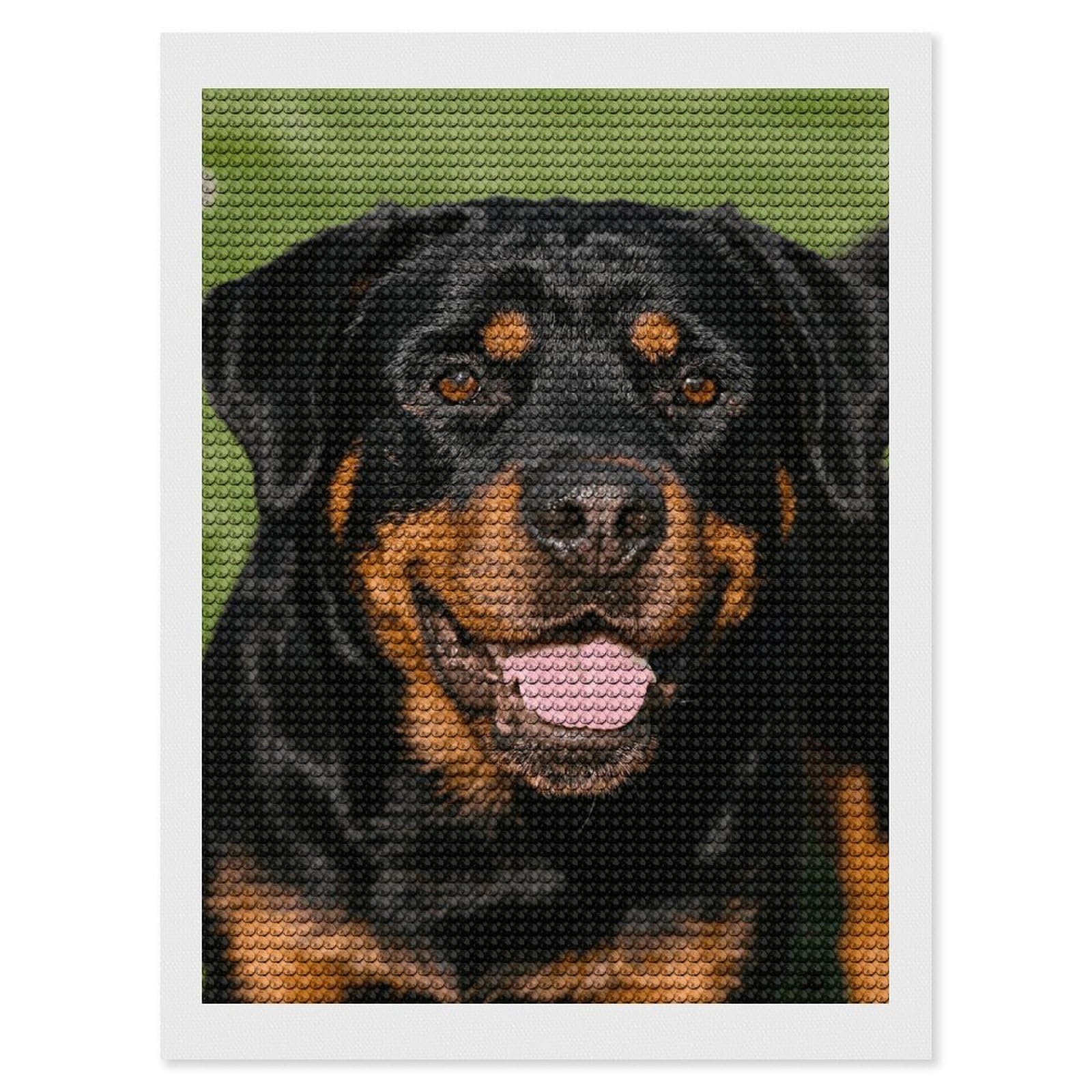 FodPand Rottweiler 5D Diamond Painting Kits for Adults Beginners Full Drill Round Diamond Dots Pictures Gem Art Supplies for Home Wall Room Decoration DIY Craft Set Gift 12x16