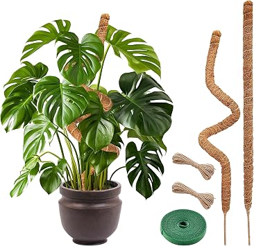 Plant Sticks Support Tall Large Moss Pole Monstera Plant Support 48 Inch (1 Pack), Bendable Tall Moss Pole for Plants, Indoor Climbing Pole, Easy to Shape and Use