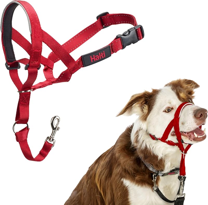 Halti Headcollar for Dogs | Size 2, Red | Stop Your Dog Pulling on the Leash | Adjustable, Reflective, Lightweight | Padded Nose Band | Training Collar for Medium Dogs
