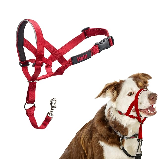 Collar Ronzal HALTI - Para evitar que tu perro tire de la correa, Ajustable y Ligero, con banda de nariz…