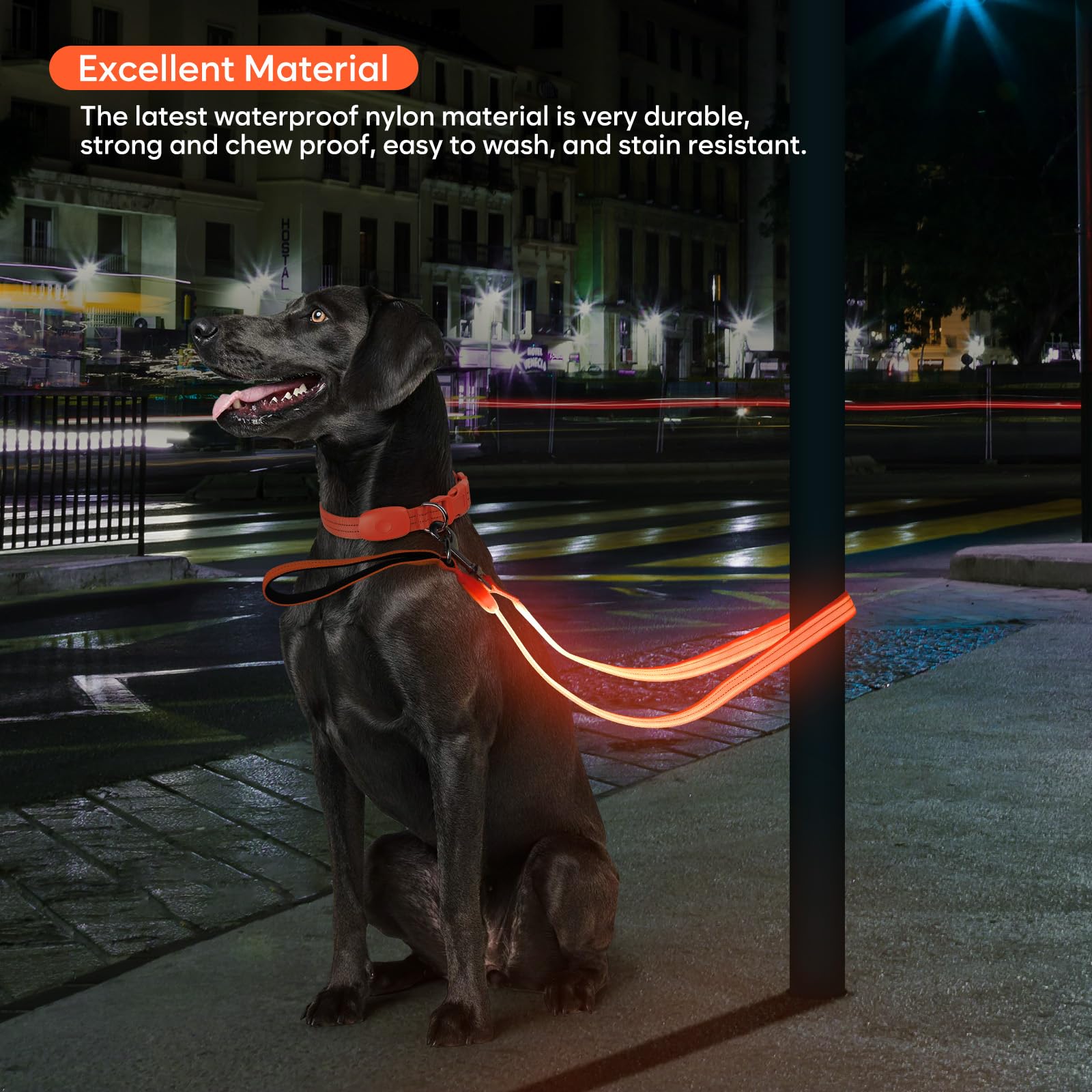 Correa LED para perro, correa de perro iluminada de 4 pies, recargable por USB, impermeable, correas reflectantes de nailon con mango acolchado para perros, luz nocturna para caminar, seguridad que