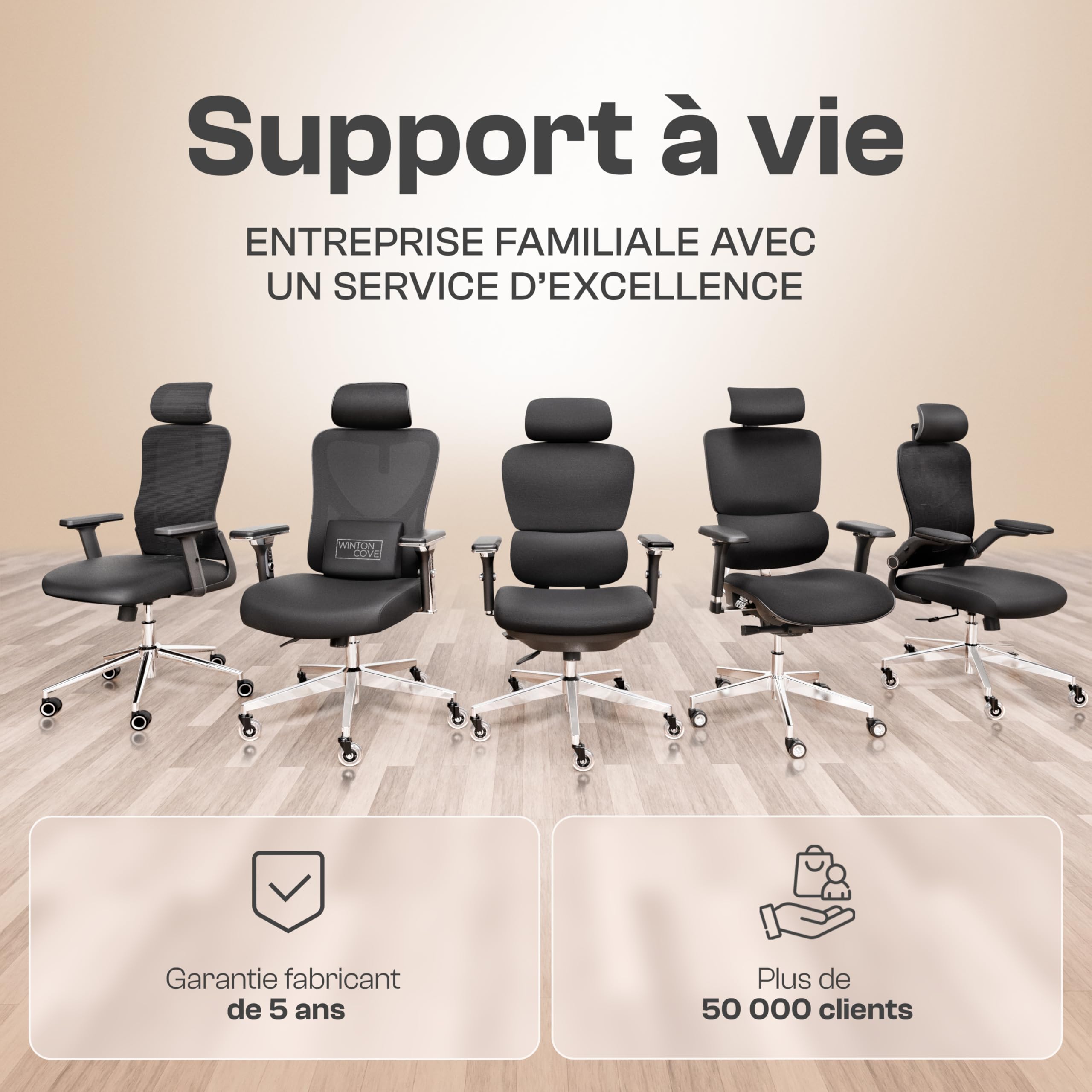 Merlin Chaise de Bureau Ergonomique [TESTÉ ET APPROUVÉ]